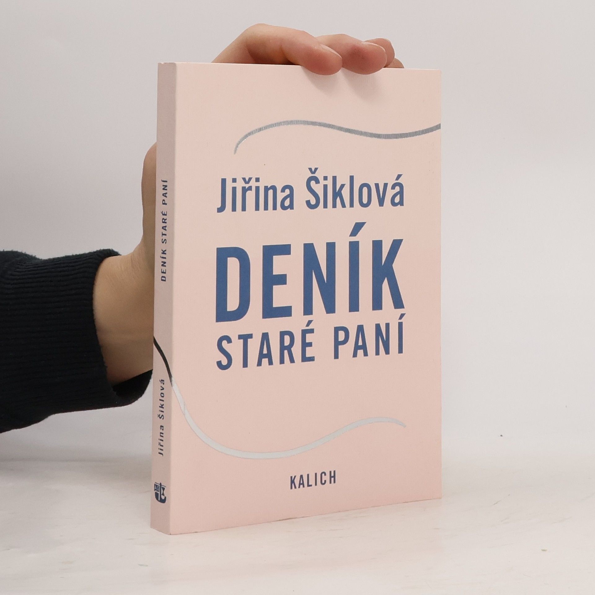 Jiřina Šiklová Deník staré paní