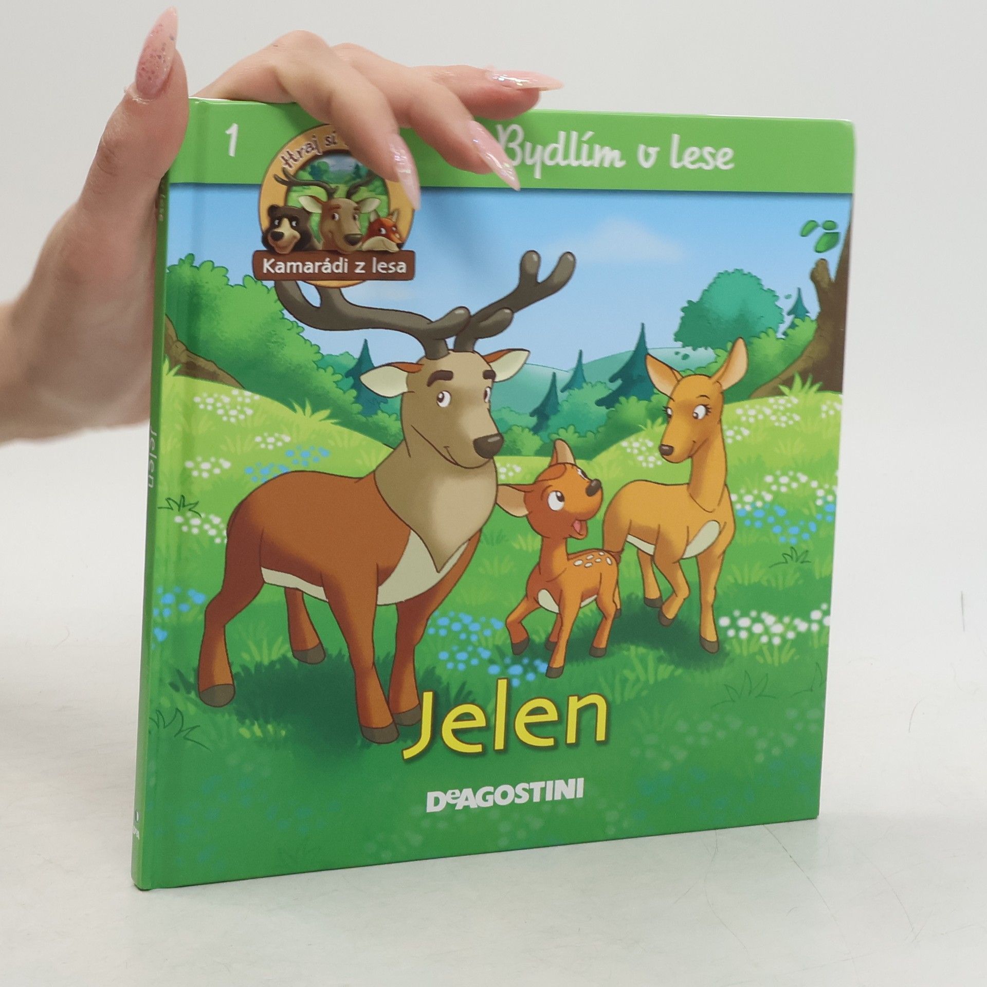 Autorenkollektiv Bydlím v lese - jelen