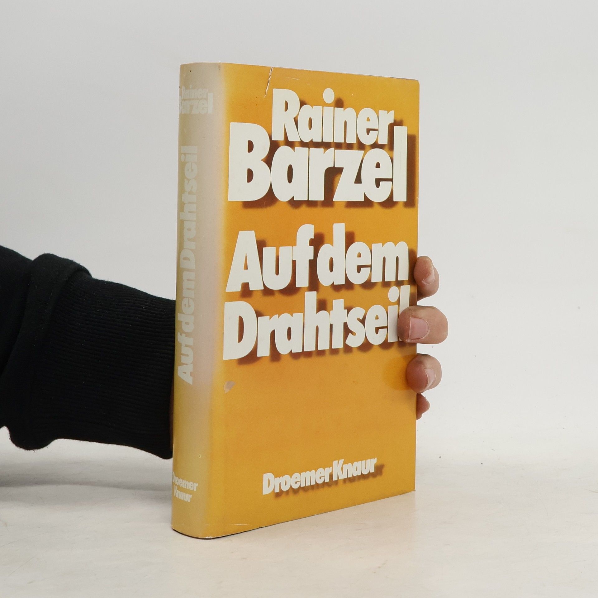 Rainer Barzel Auf dem Drahtseil