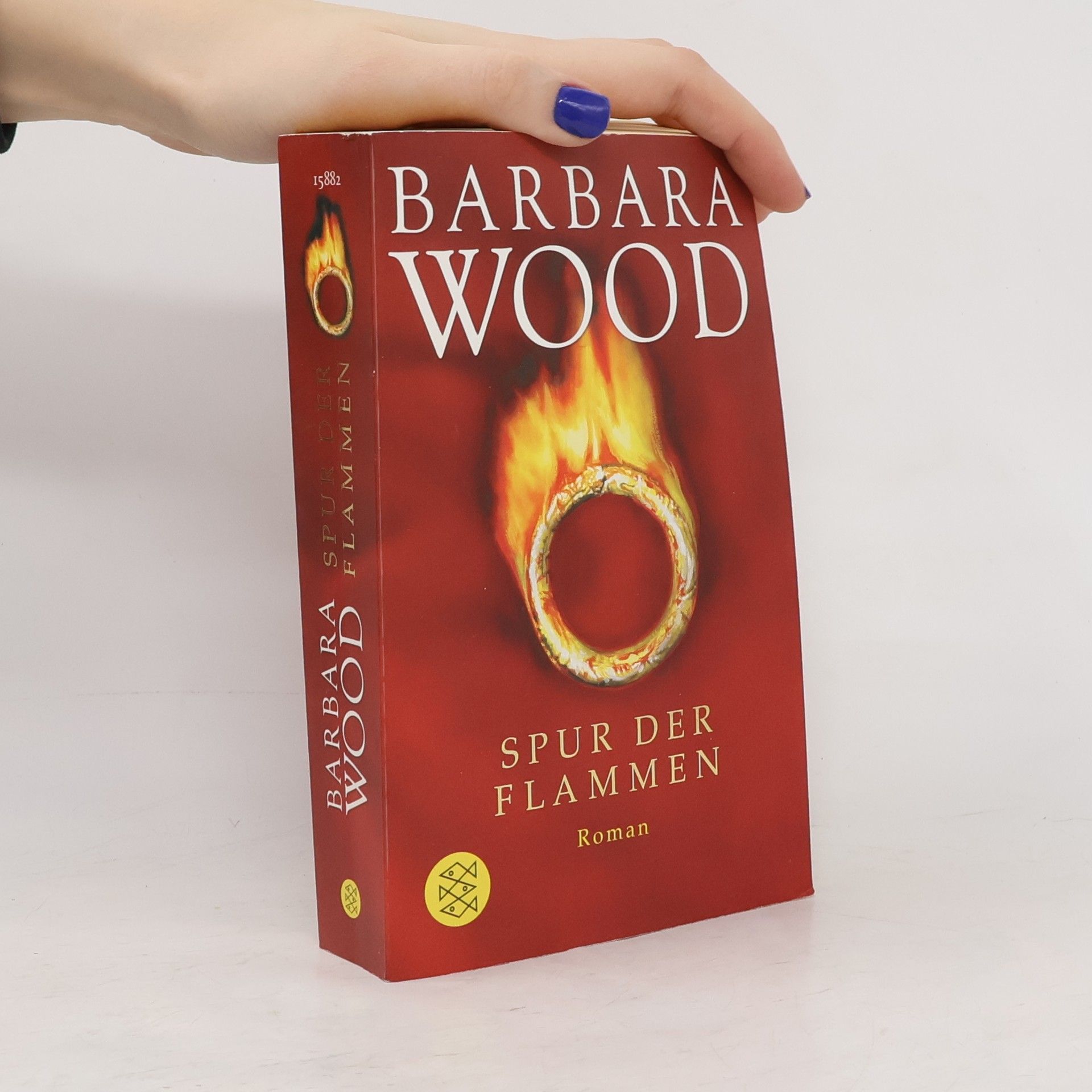 Barbara Wood Spur der Flammen