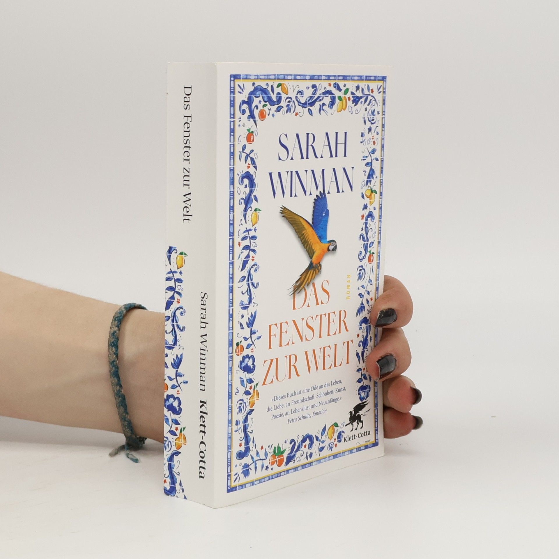 Das Fenster zur Welt