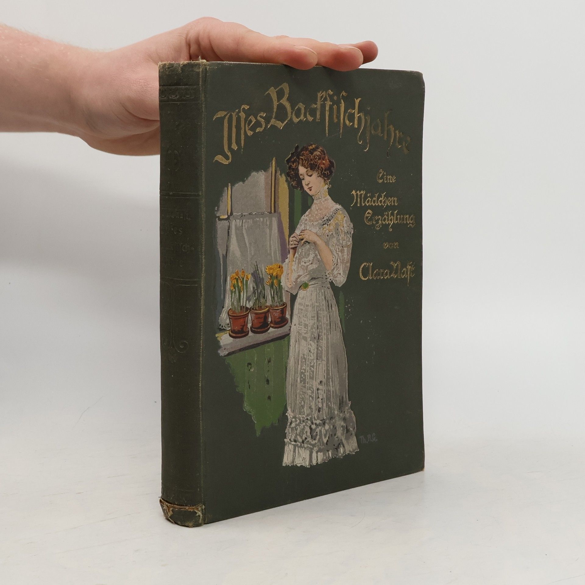 Clara Nast Ilses Backfischjahre