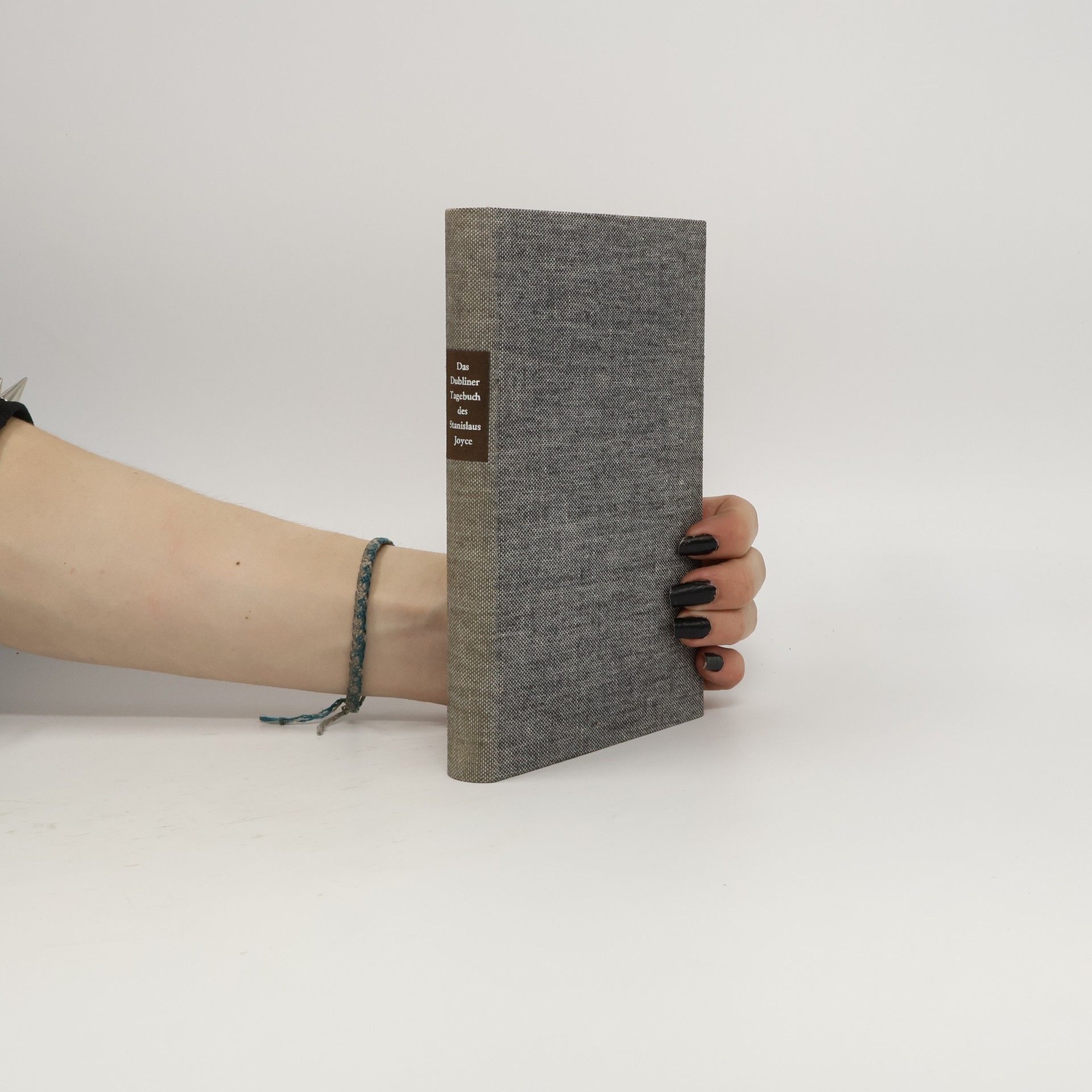 Stanislaus Joyce Das Dubliner Tagebuch