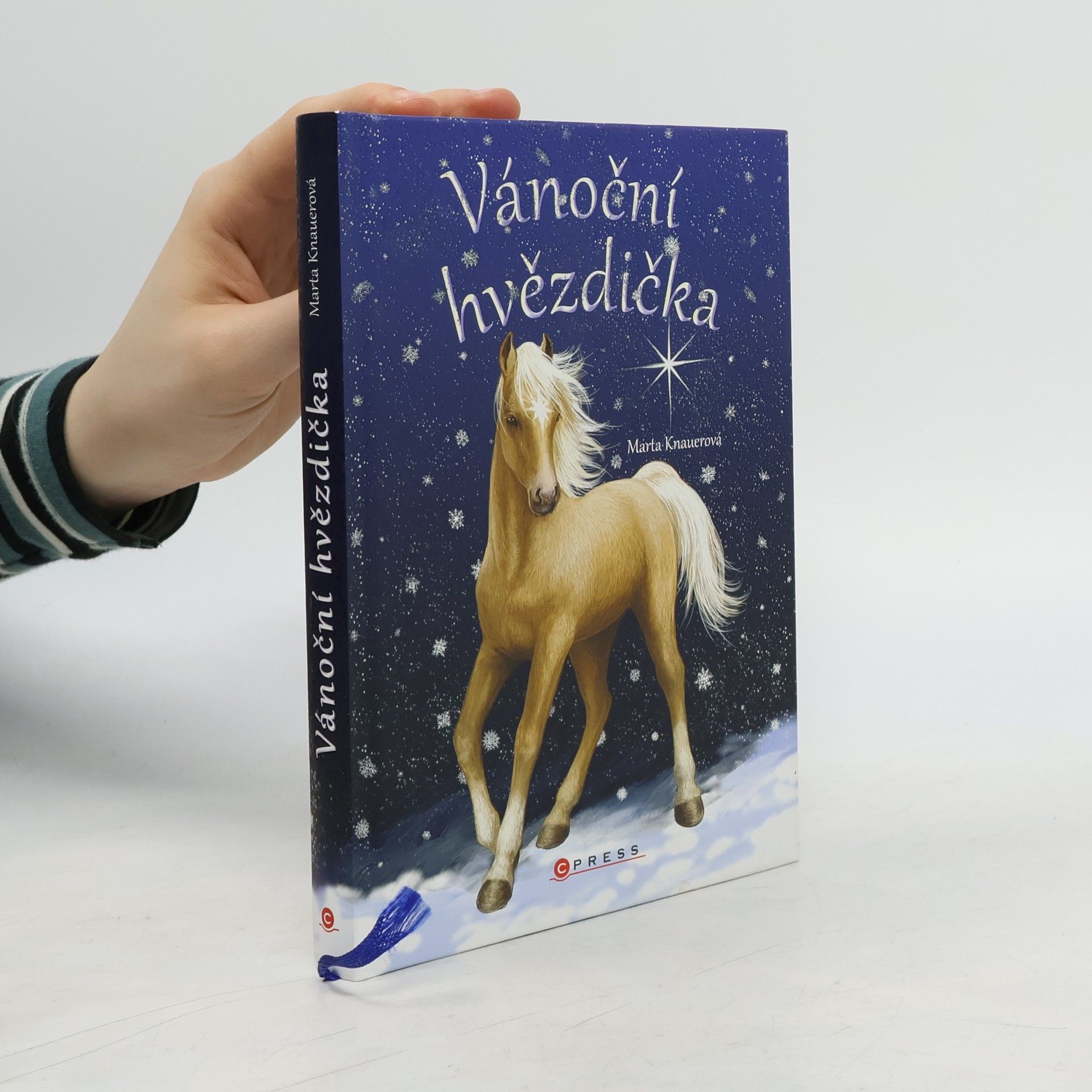 Marta Knauerová Vánoční hvězdička