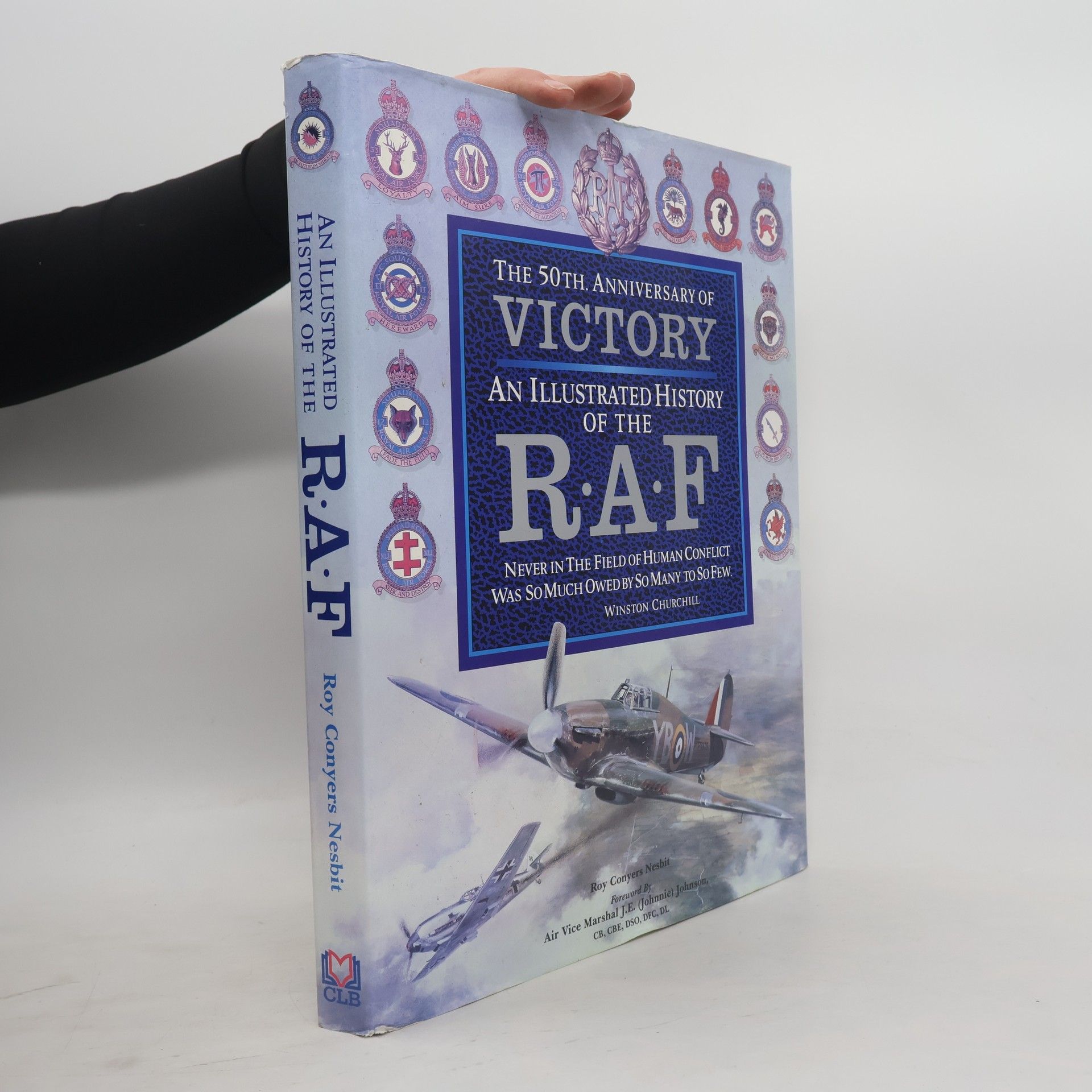 Roy Conyers Nesbit An Illustrated History of the RAF