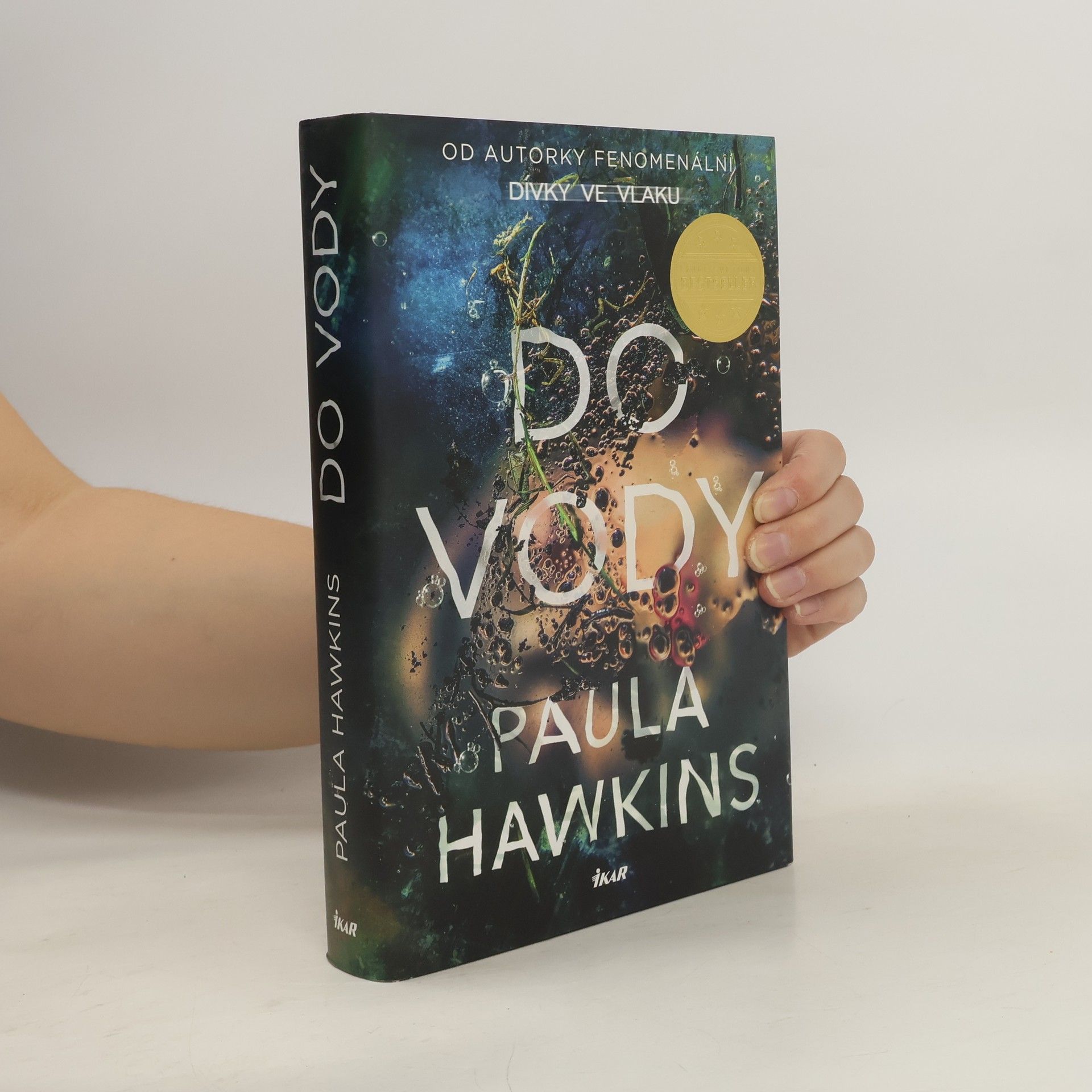 Paula Hawkins Do vody