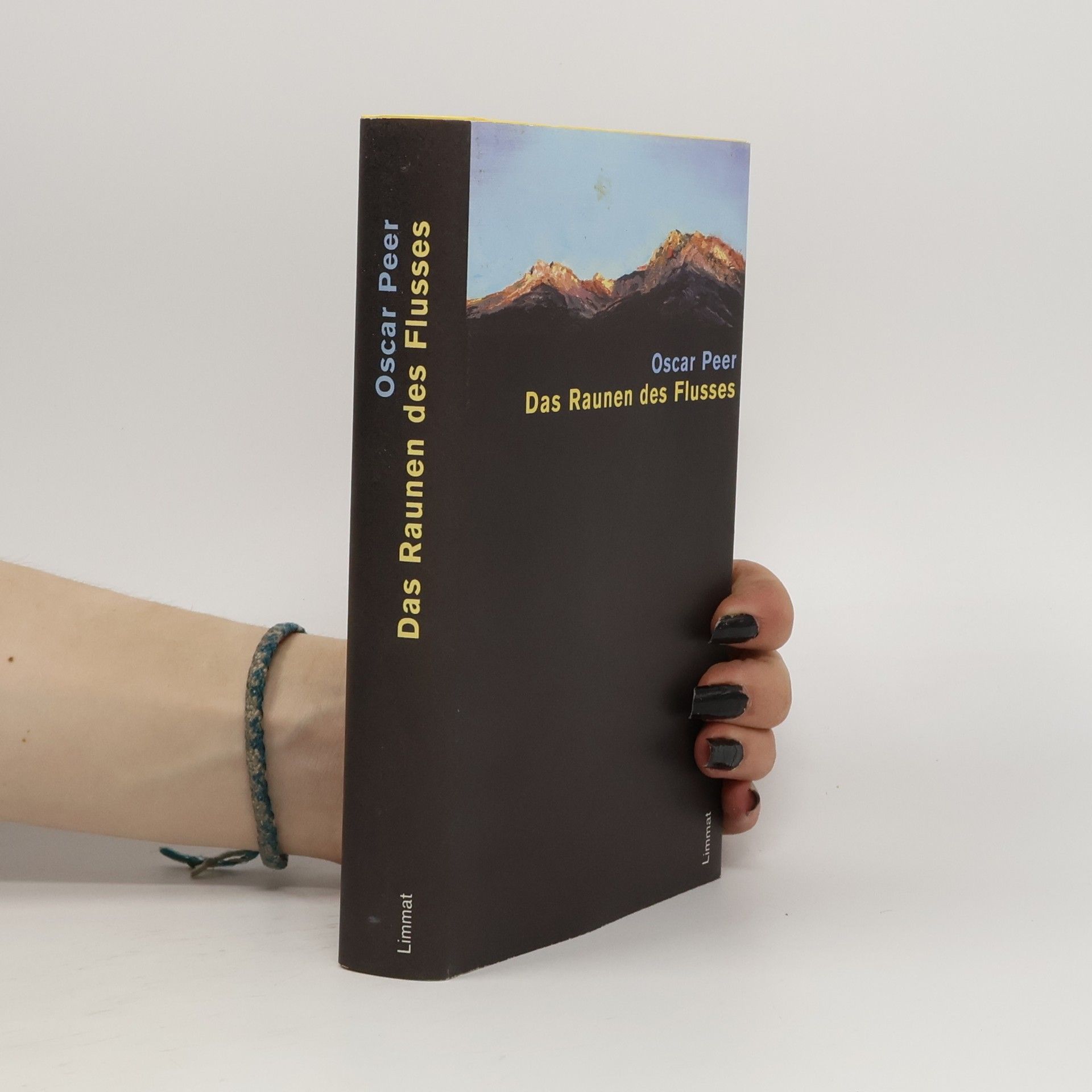 Ernst Halter Über Land