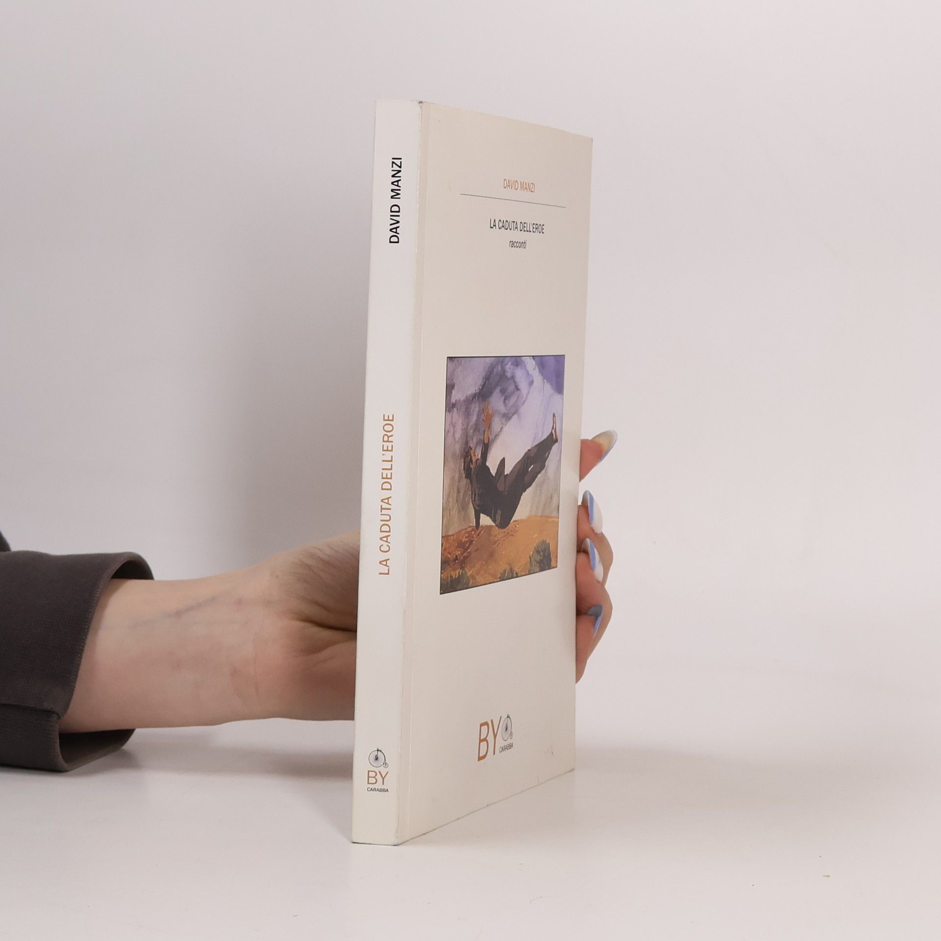Davide Manzi La caduta dell'eroe
