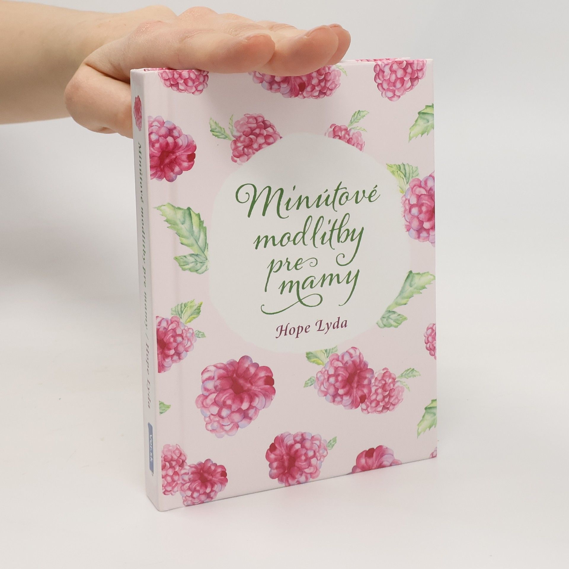 Hope Lyda Minútové modlitby pre mamy