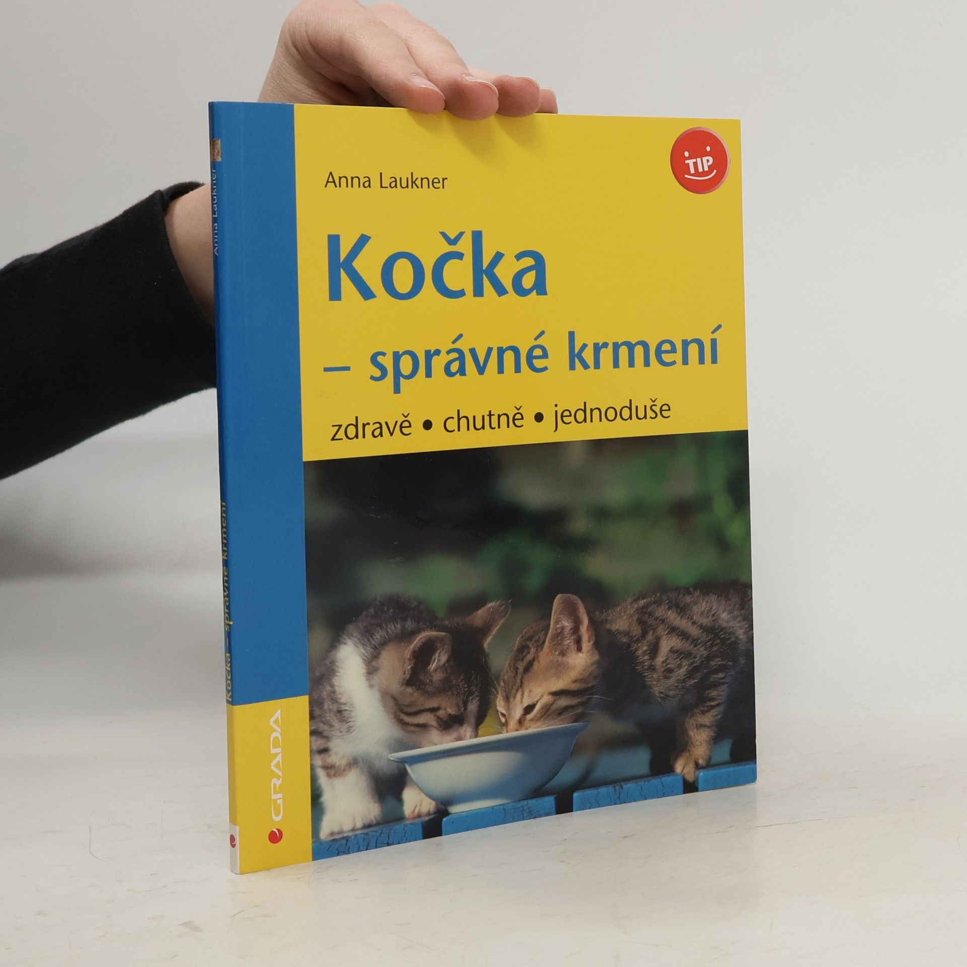 Kočka - správné krmení : zdravě, chutně, jednoduše
