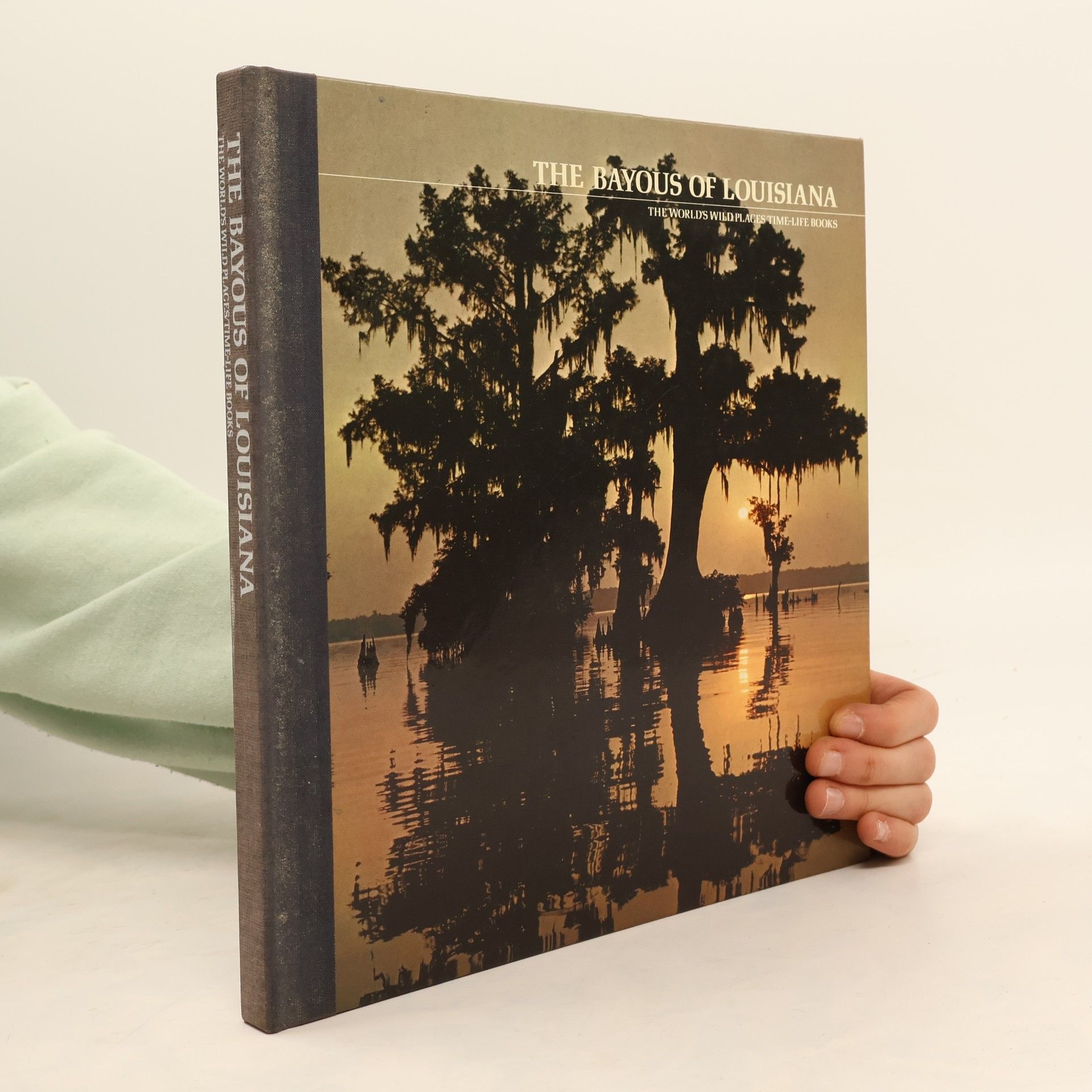 Kolektív autorov The Bayous of Louisiana