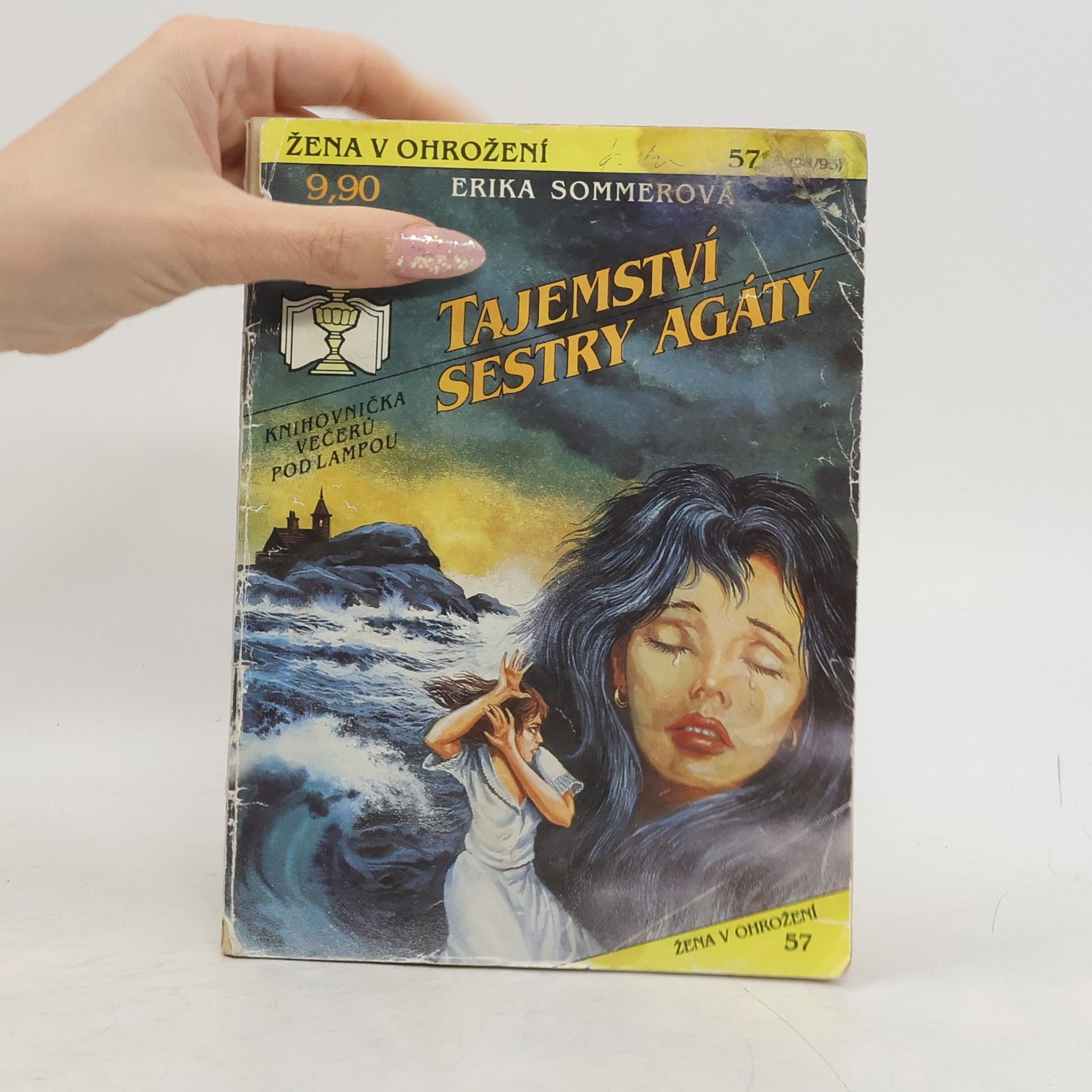 Erika Sommer Tajemství sestry Agáty
