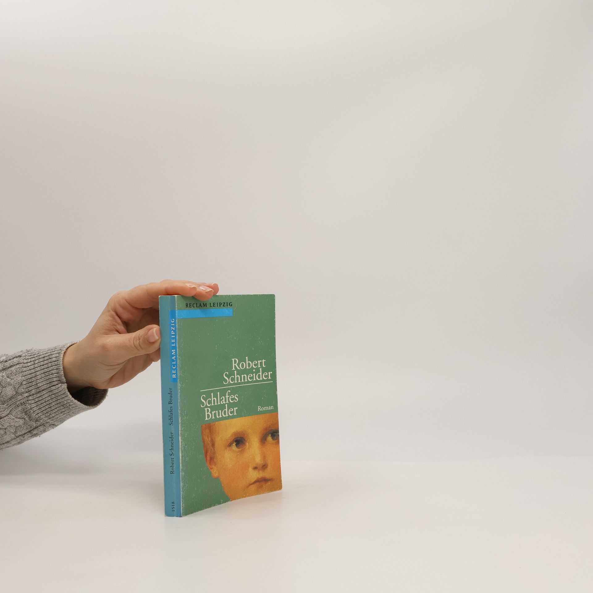 Robert Schneider Schlafes Bruder