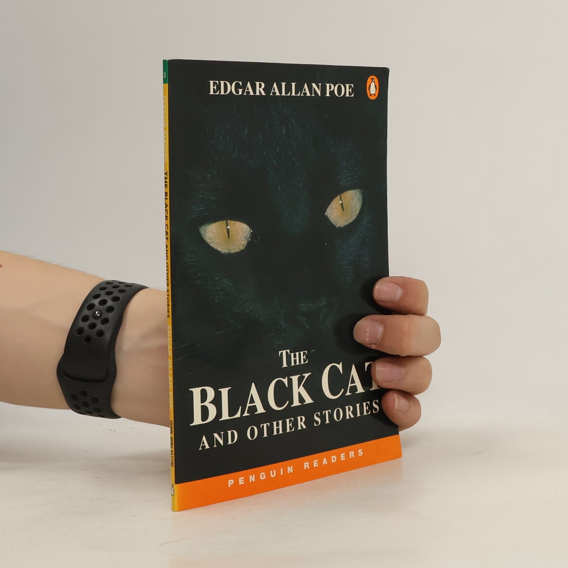 Edgar Allan Poe The black cat and other stories