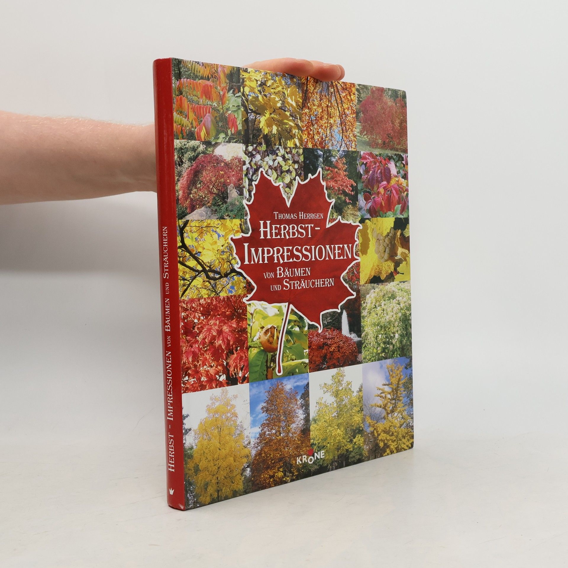 Thomas Herrgen Herbst-Impressionen von Bäumen und Sträuchern