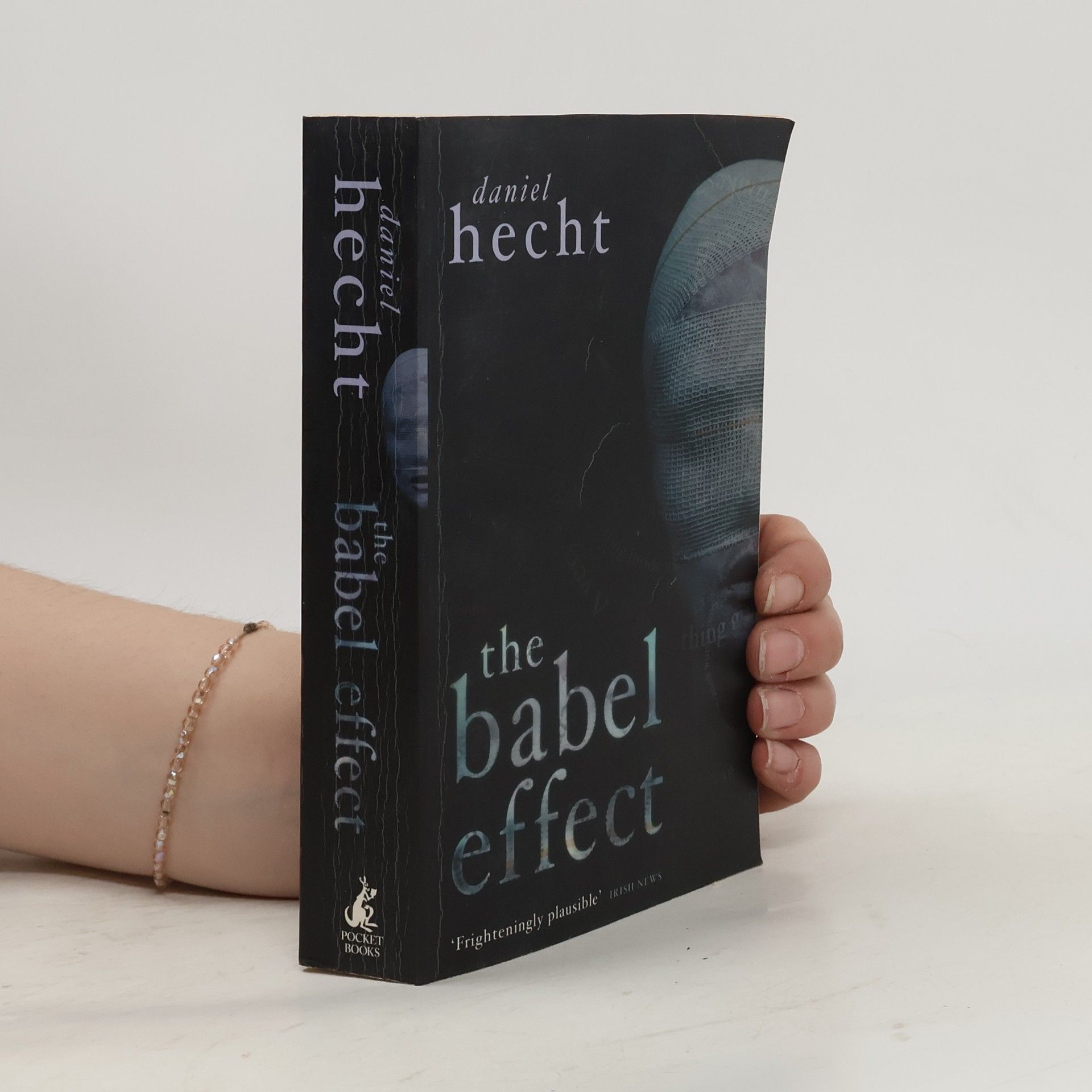 Daniel Hecht The Babel Effect