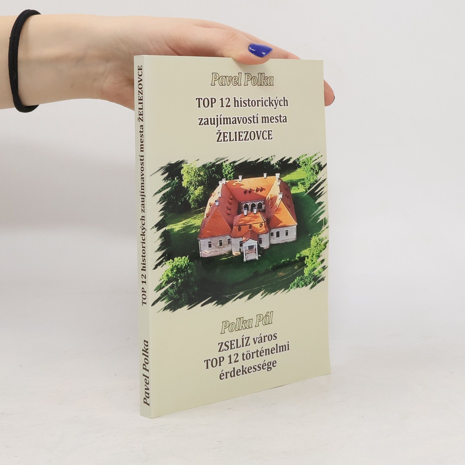 Top 12 historických zaujímavostí mesta Želiezovce. Zselíz város Top 12 történelmi érdekessége