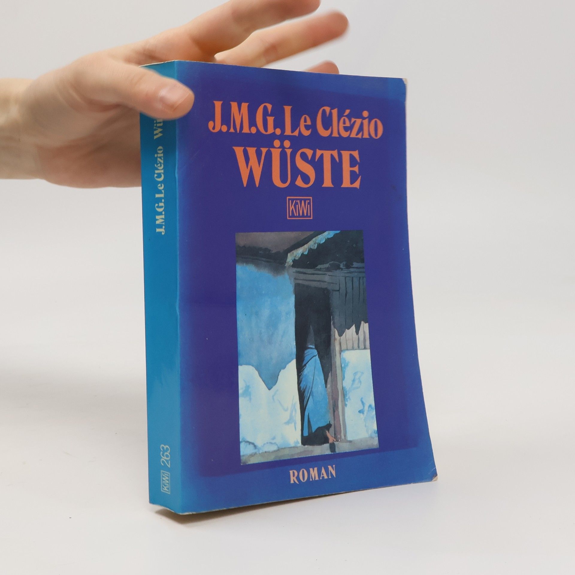 J. M. G. Le Clézio KiWi - 263: Wüste