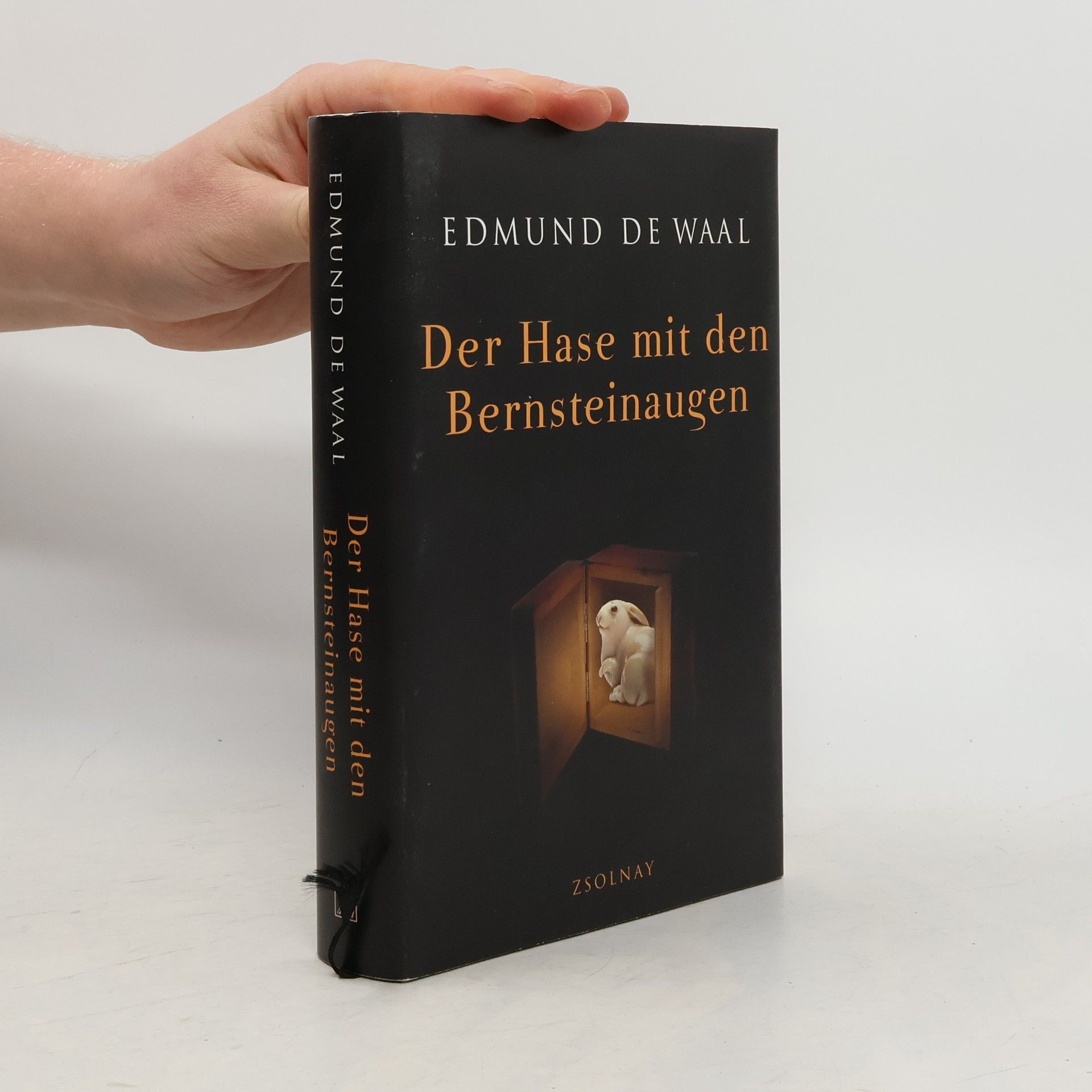 Edmund de Waal Der Hase mit den Bernteinaugen