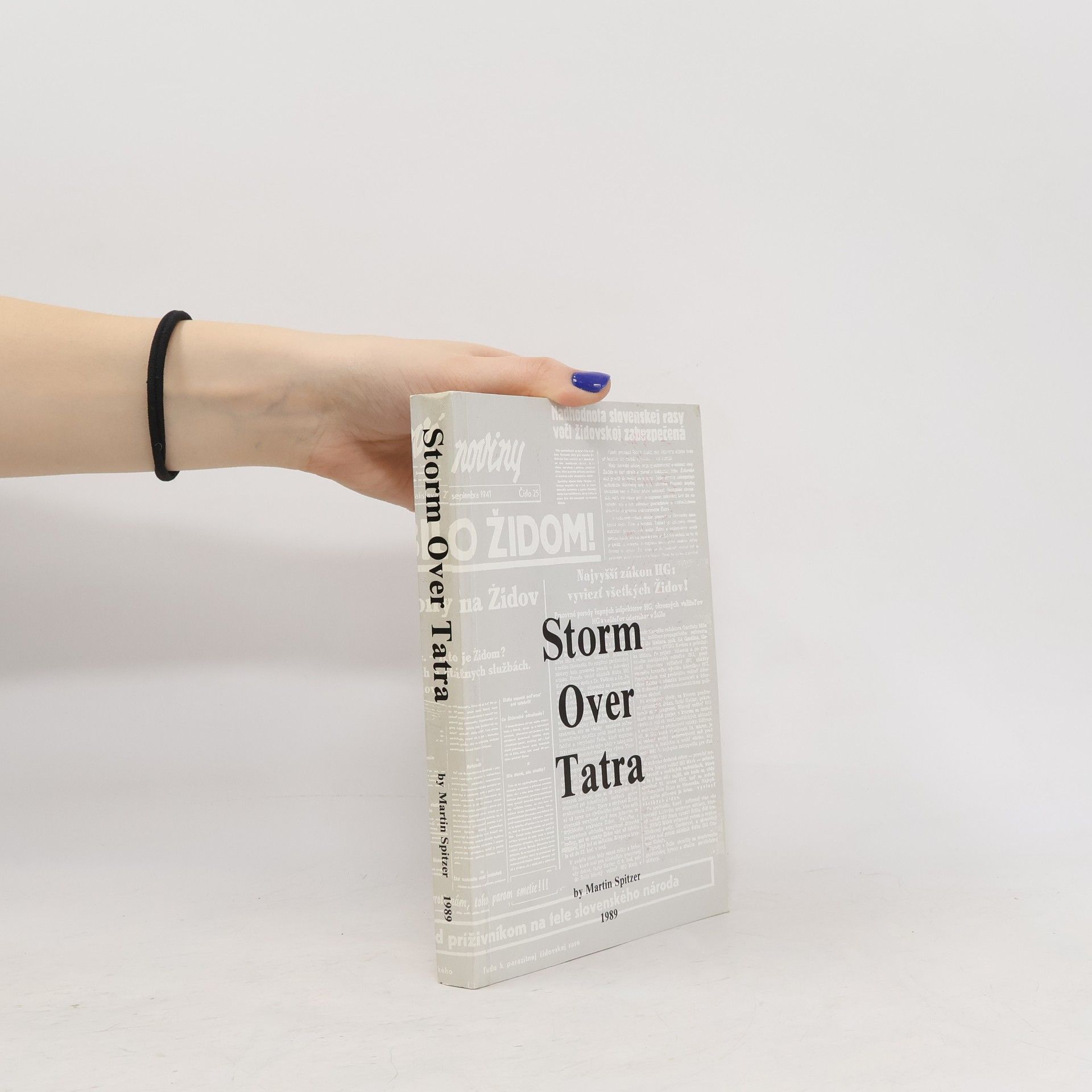 Martin Spitzer Storm over Tatra