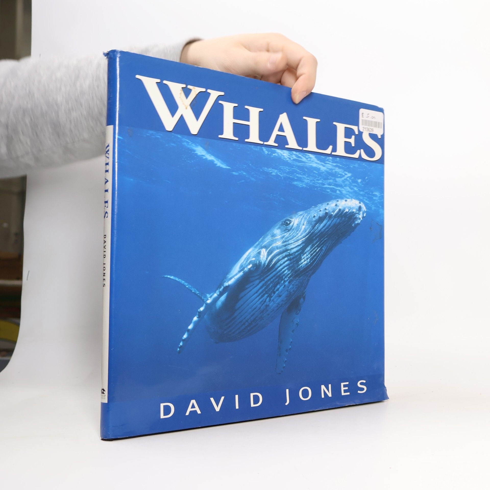 David Jones Whales