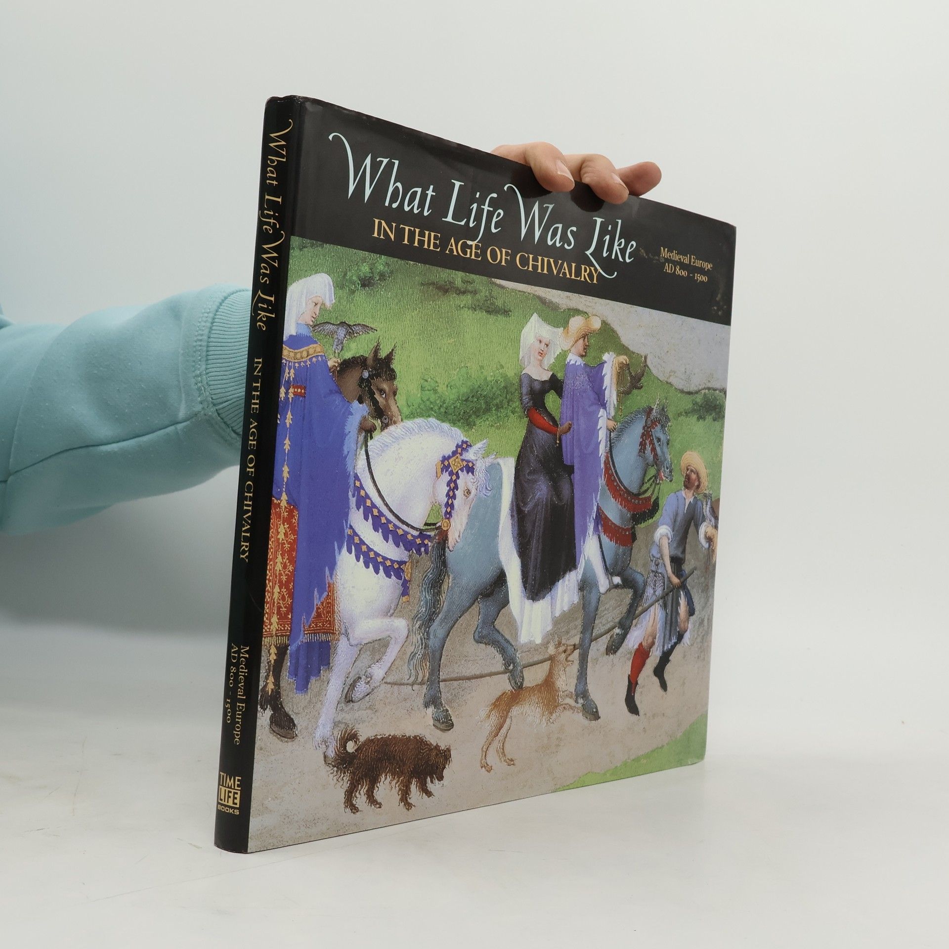 Denise Dersin What Life Was Like In the Age of Chivalry