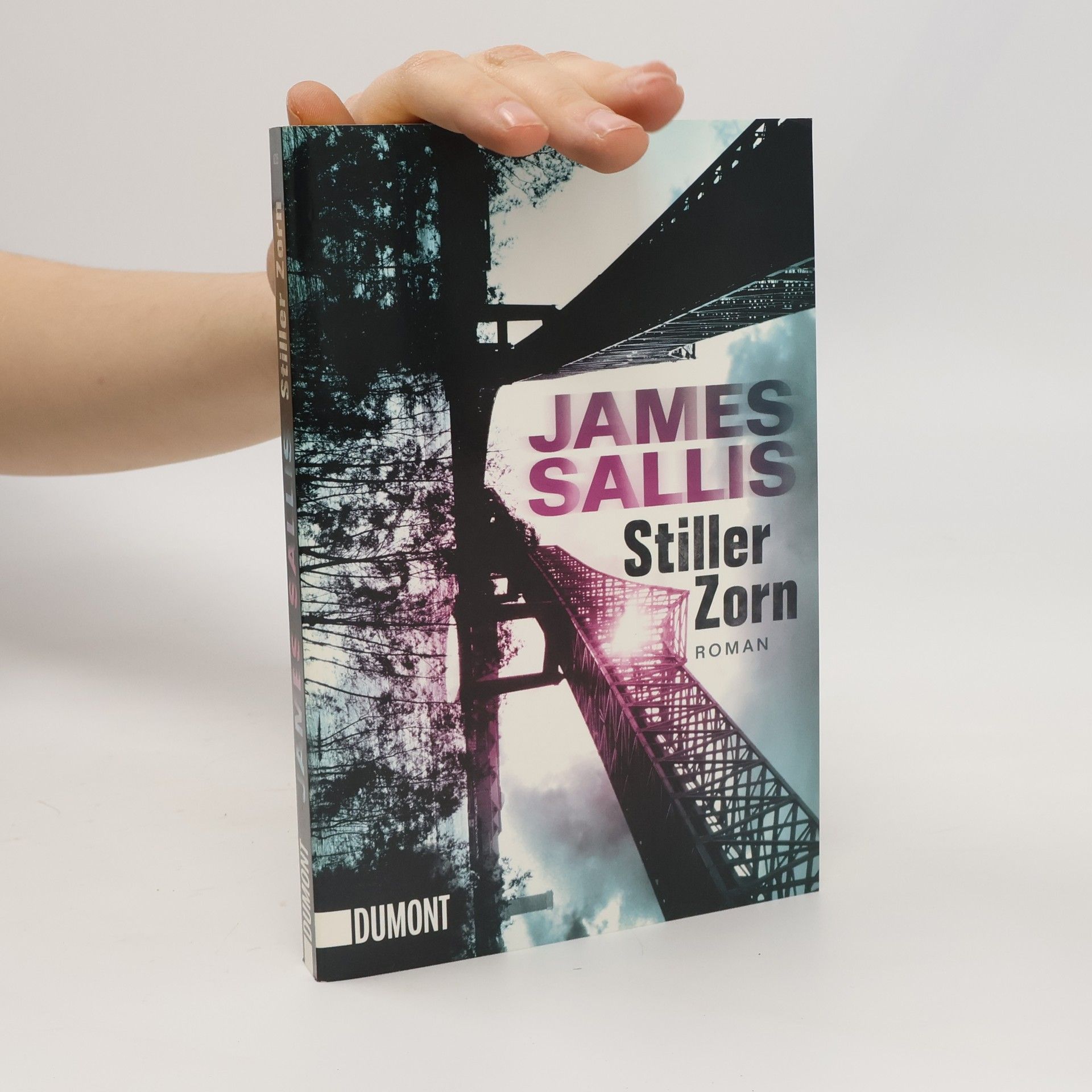 James Sallis Stiller Zorn