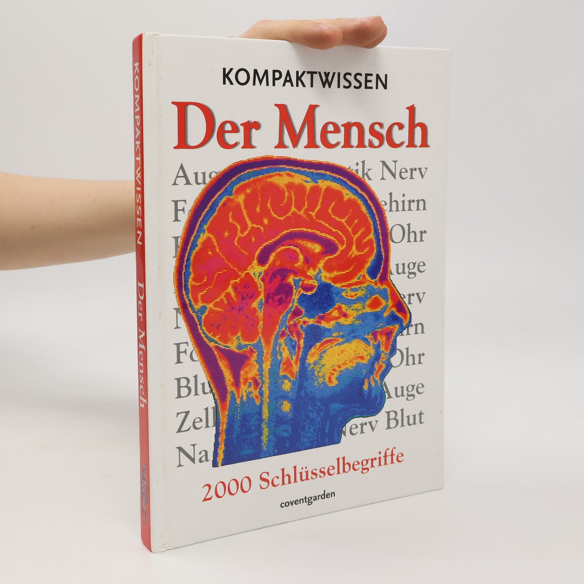 David Burnie Kompaktwissen der Mensch