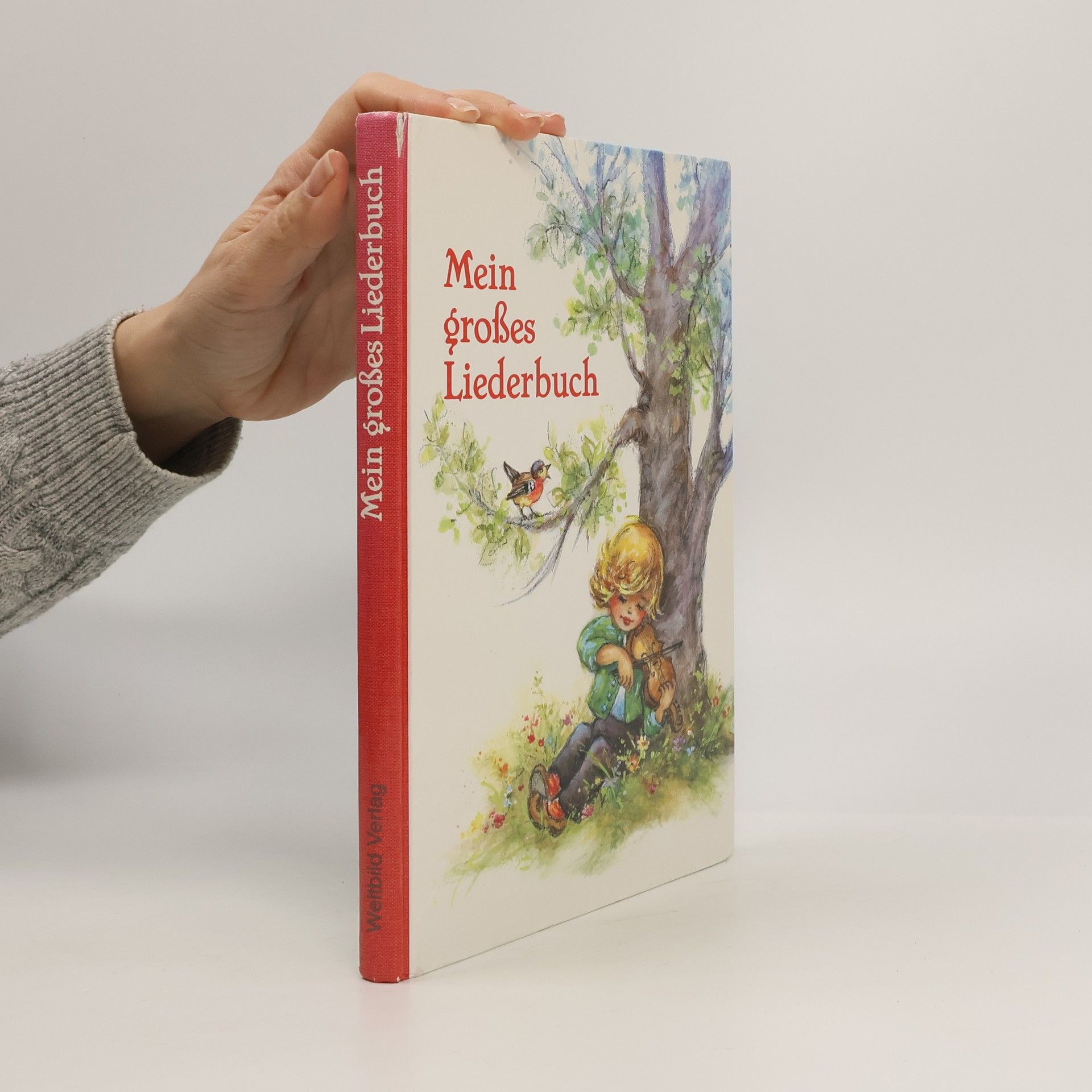 Lore Hummel Mein großes Liederbuch. Illustrationen Lore Hummel