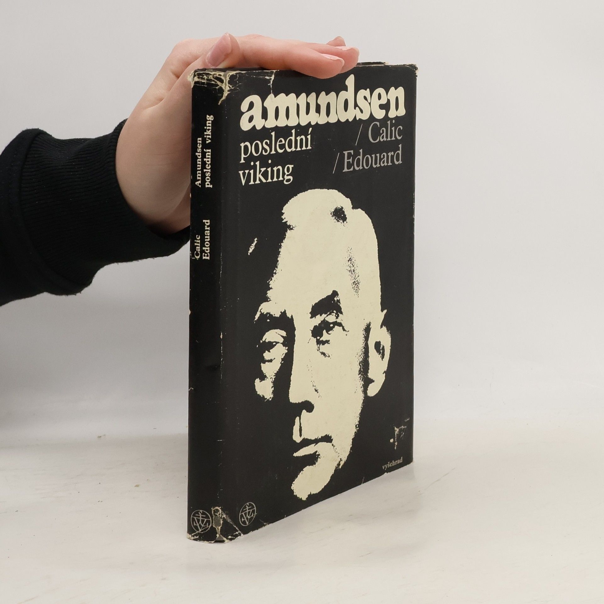 Amundsen. Poslední viking