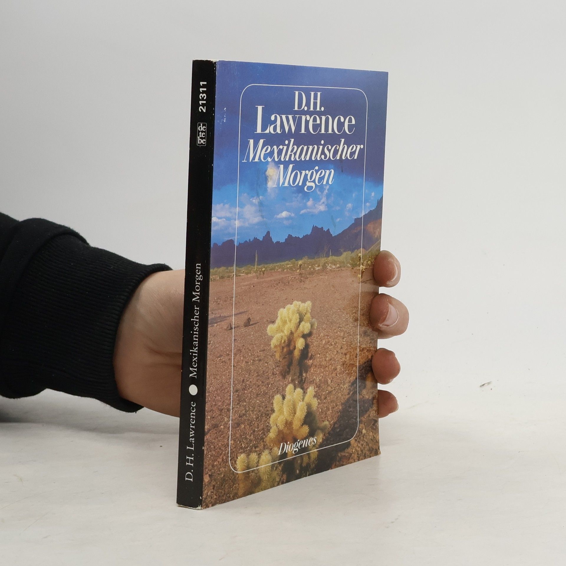 David Herbert Lawrence Mexikanischer Morgen