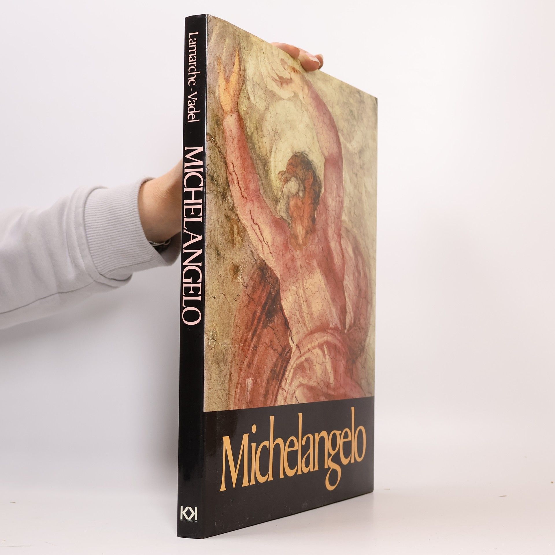 Bernard Lamarche-Vadel Michelangelo