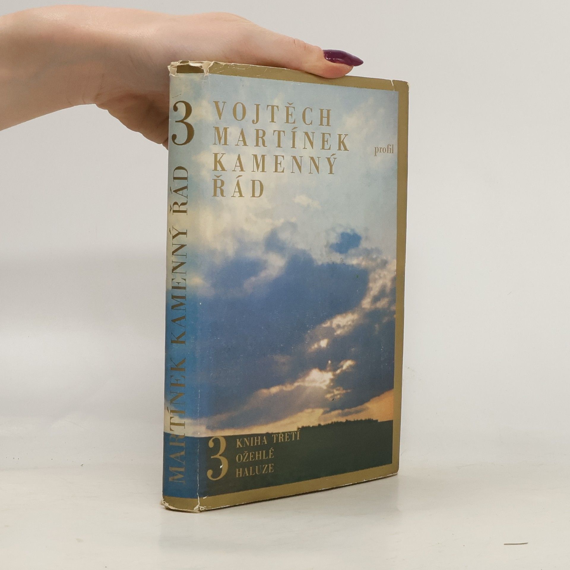 Vojtěch Martínek Kamenný řád 3