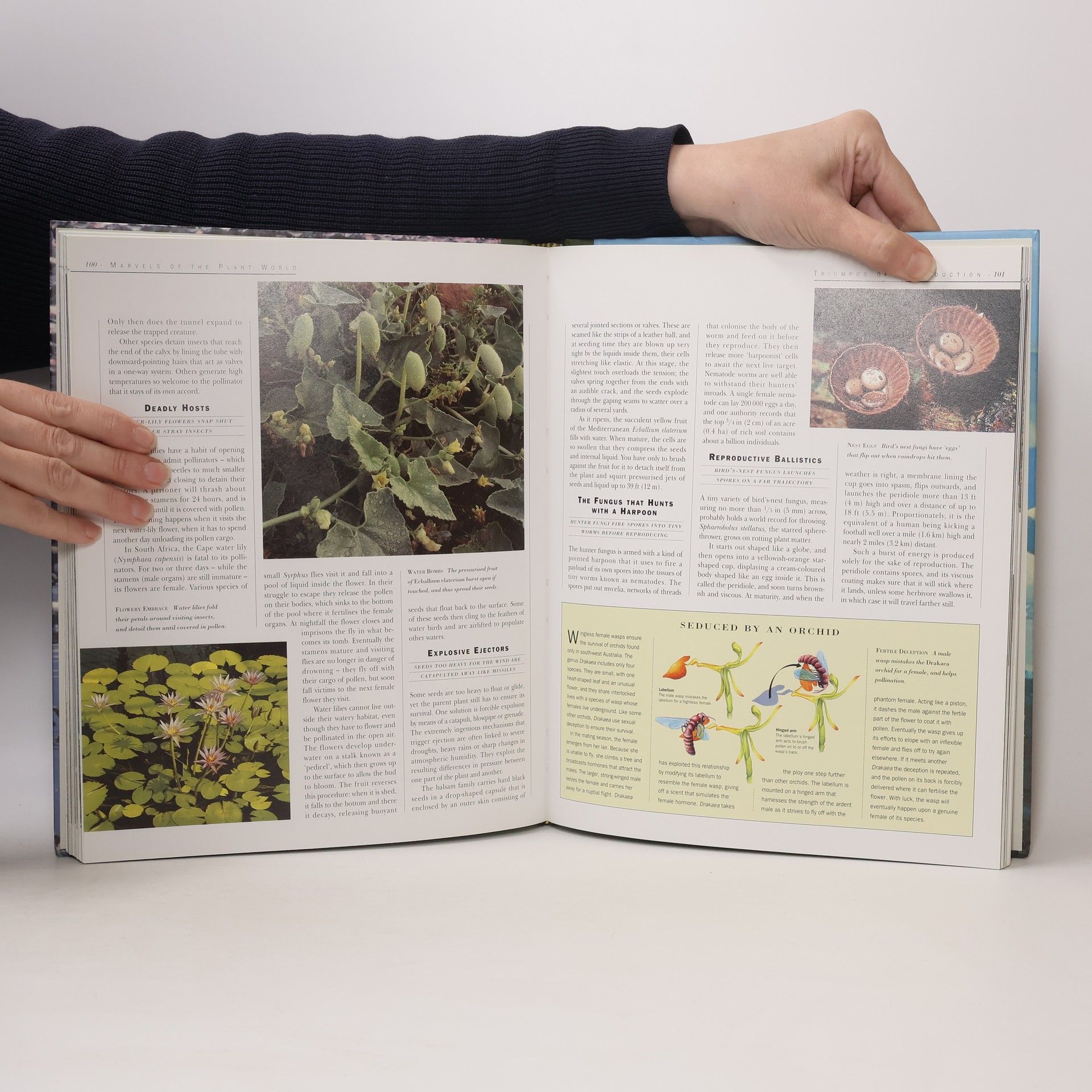 Steve Cox The Earth, Its Wonders, Its Secrets: Nature's Masterpieces