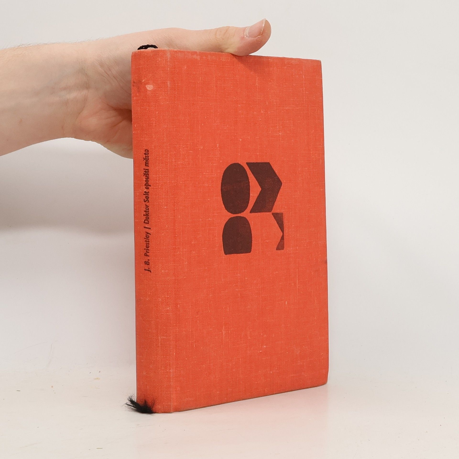 J. B. Priestley Doktor Salt opouští město