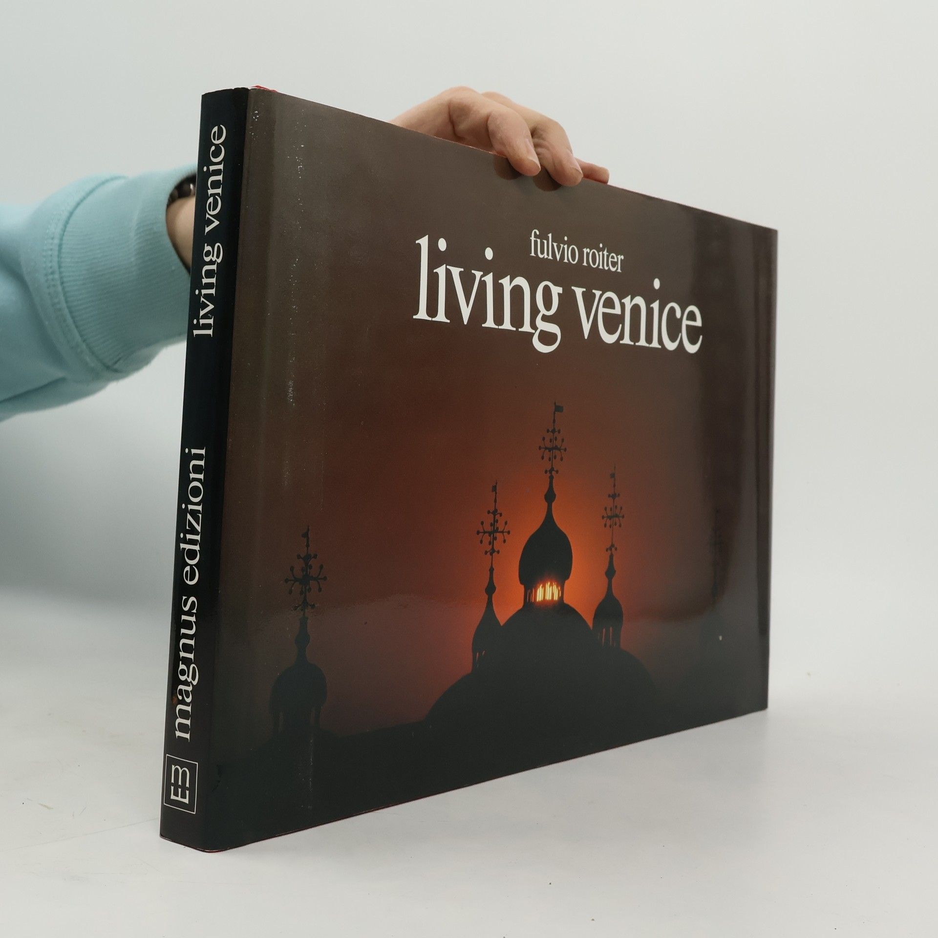 Fulvio Roiter Living Venice