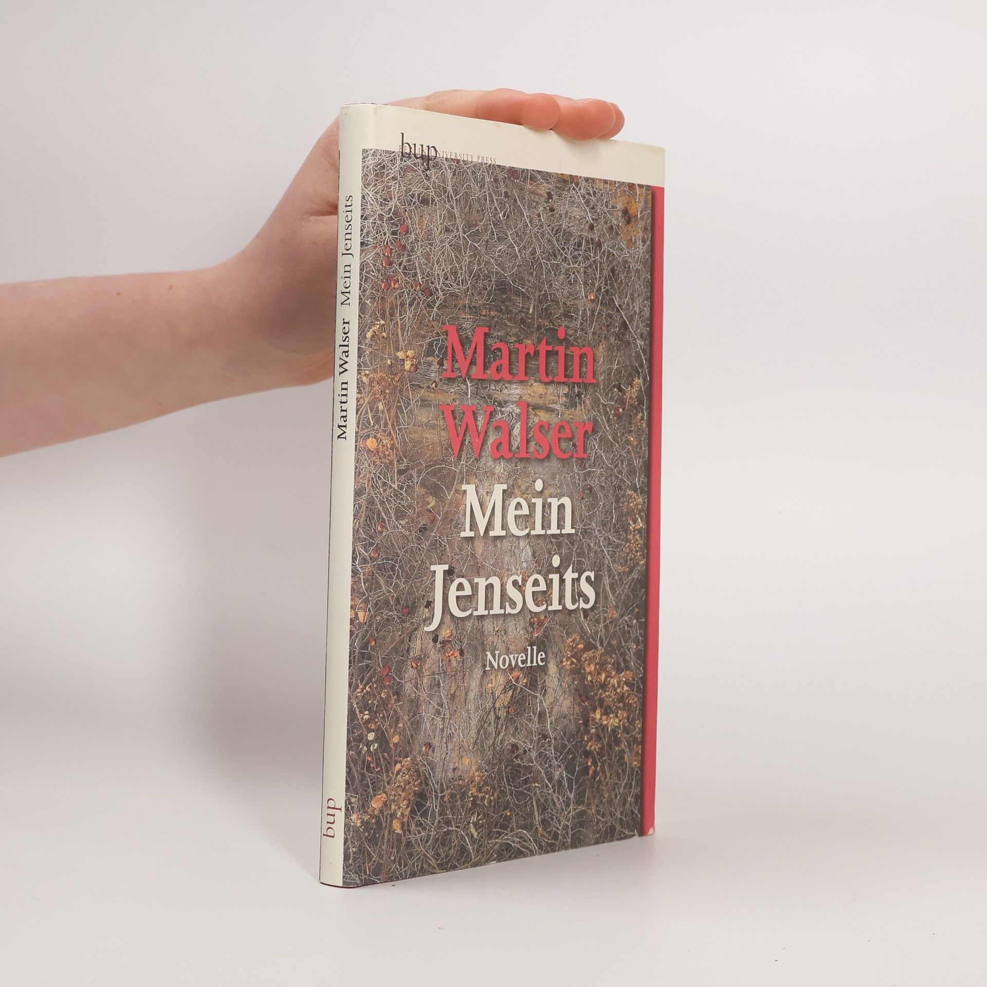 Martin Walser Mein Jenseits