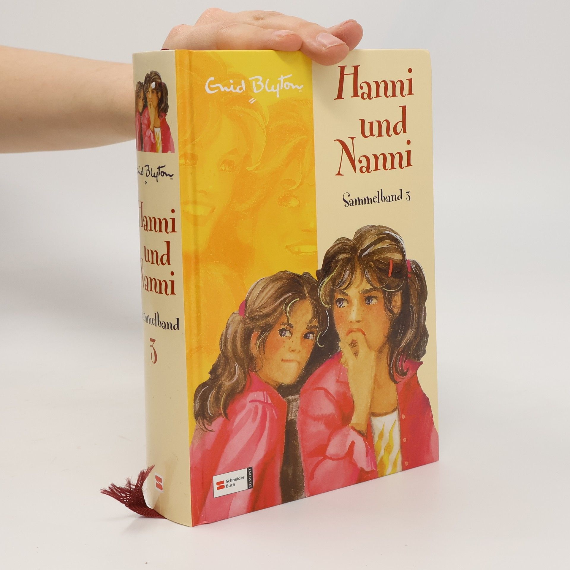 Enid Blyton Hanni und Nanni. Sammelband 3