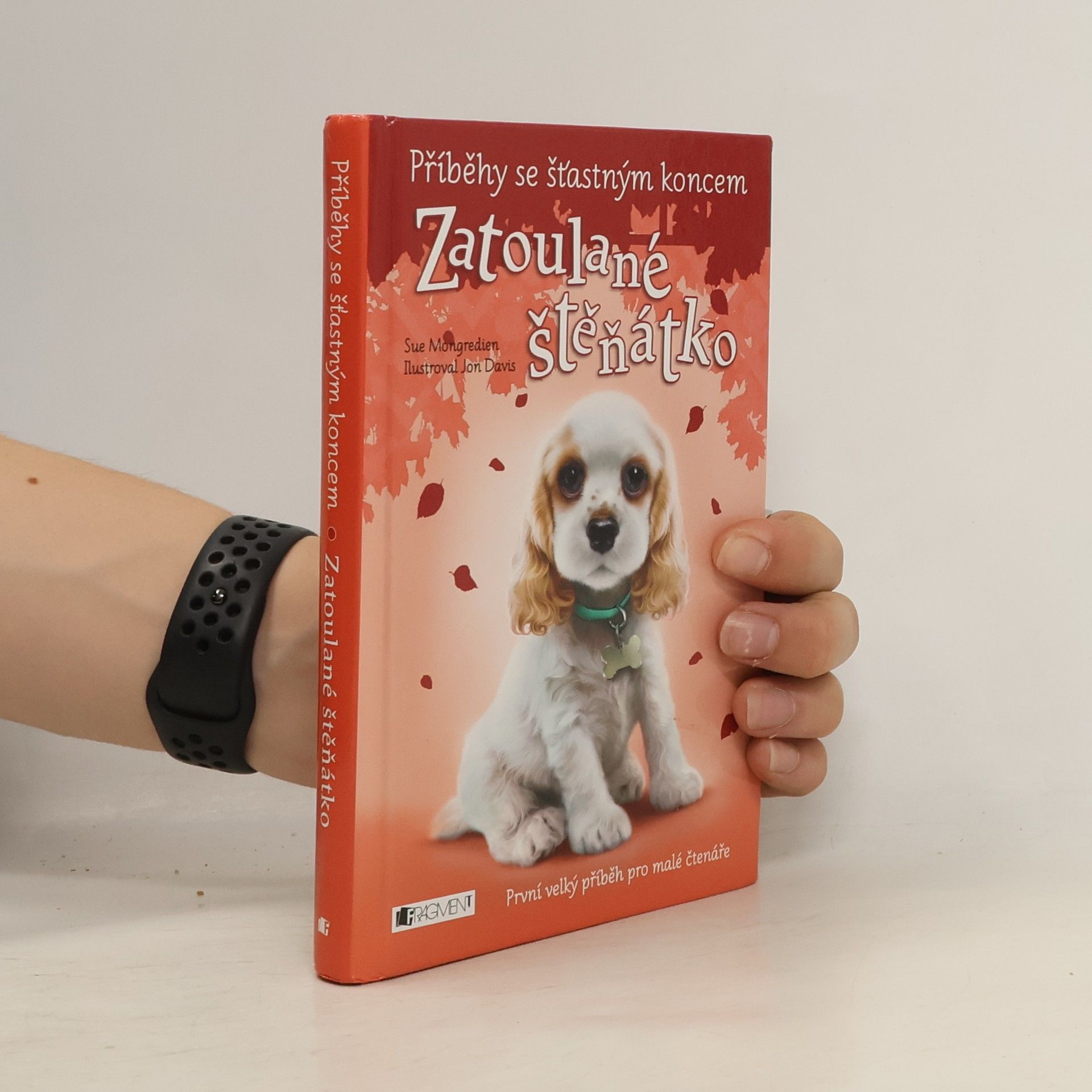 Jon Davis Zatoulané štěňátko