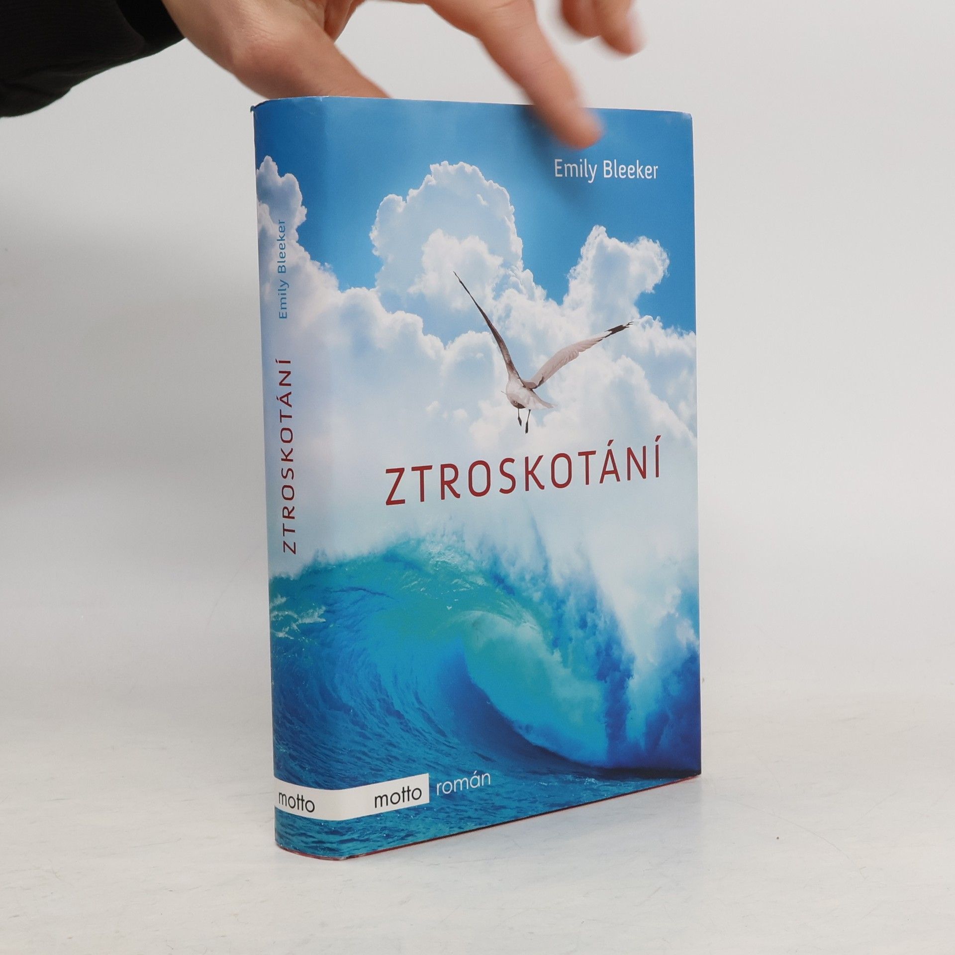 Emily Bleeker Ztroskotání