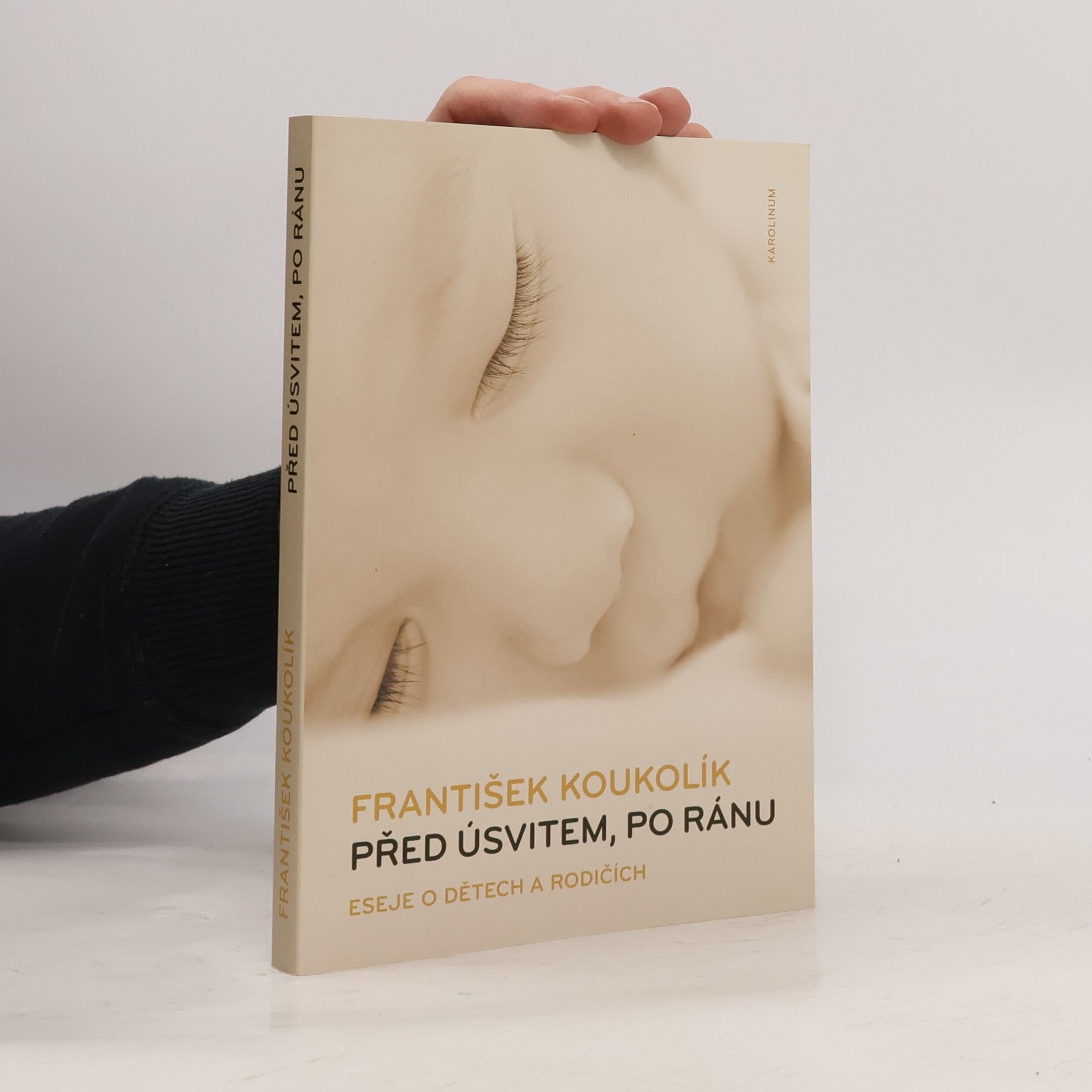 František Koukolík Před úsvitem, po ránu