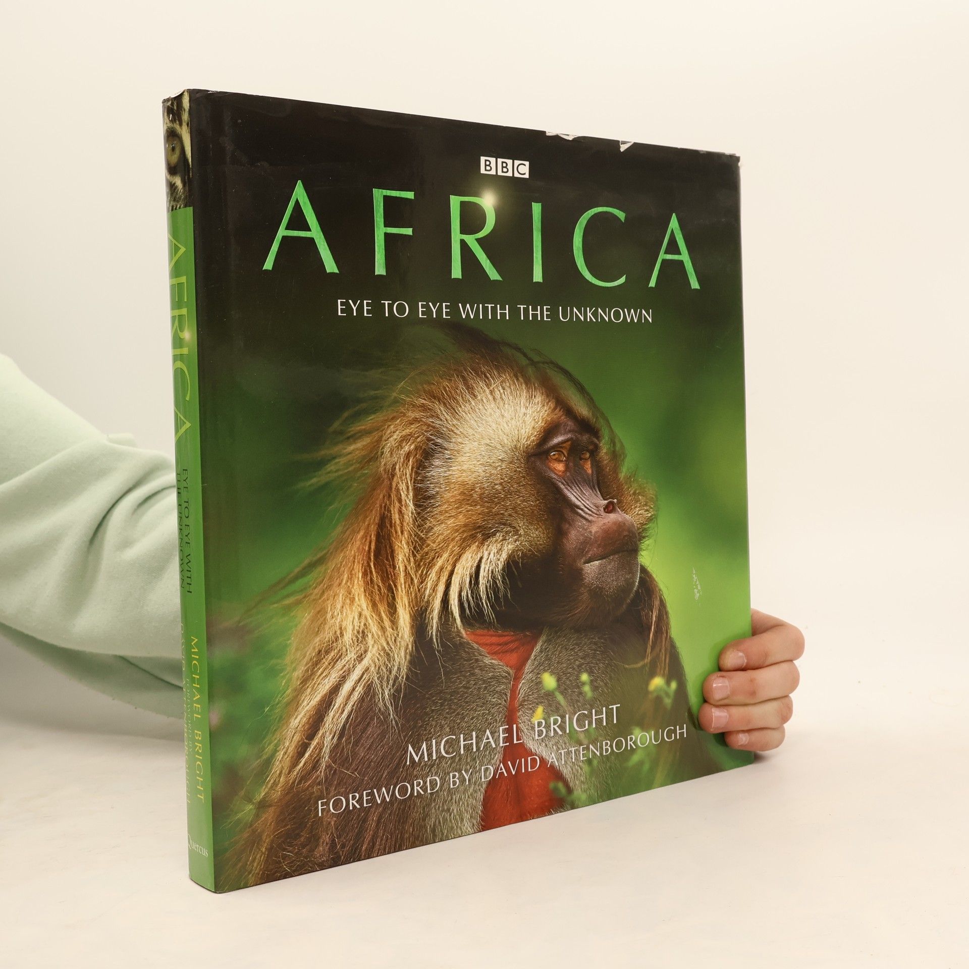 Michael Bright Africa