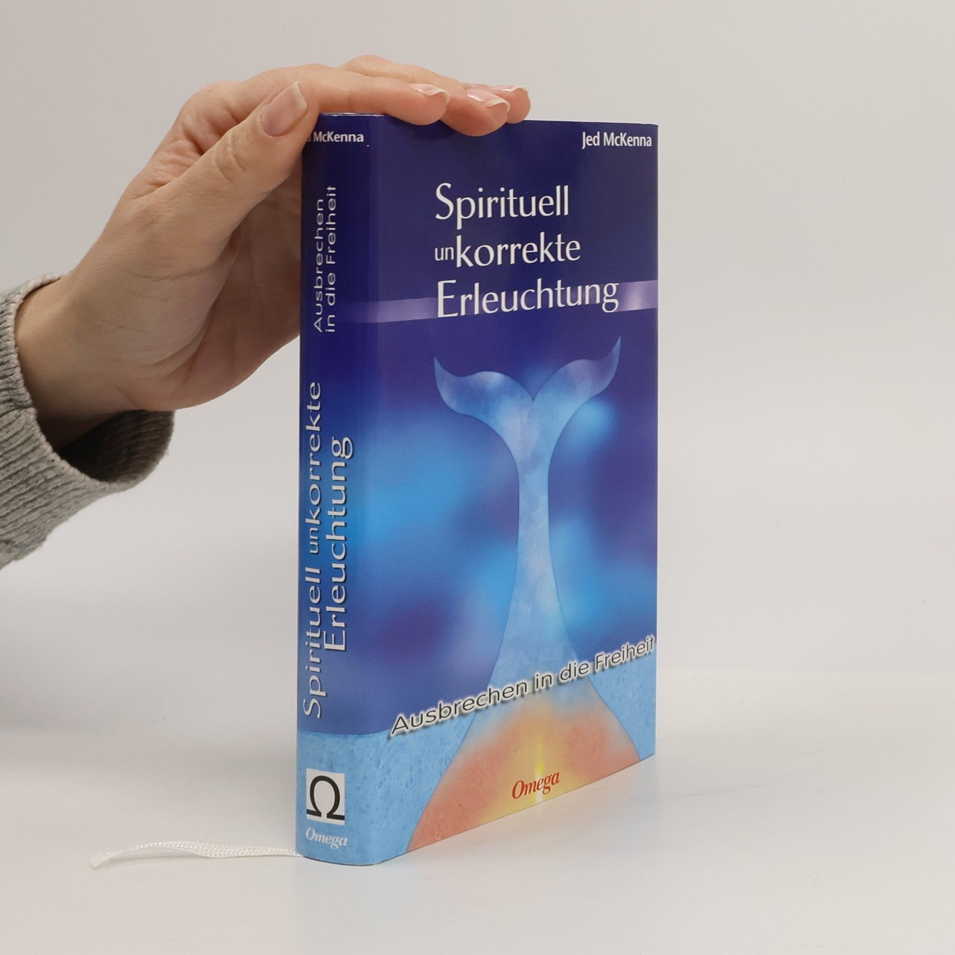 Jed McKenna Spirituell unkorrekte Erleuchtung