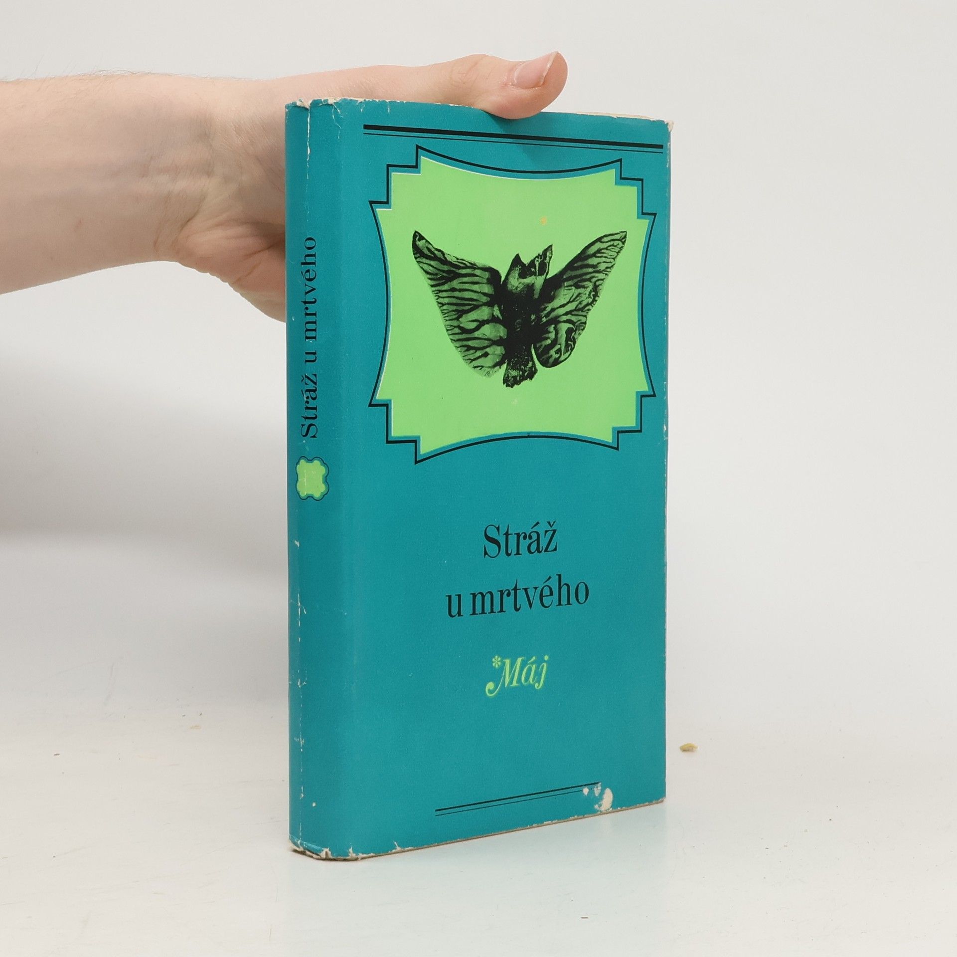 Kolektív autorov Stráž u mrtvého
