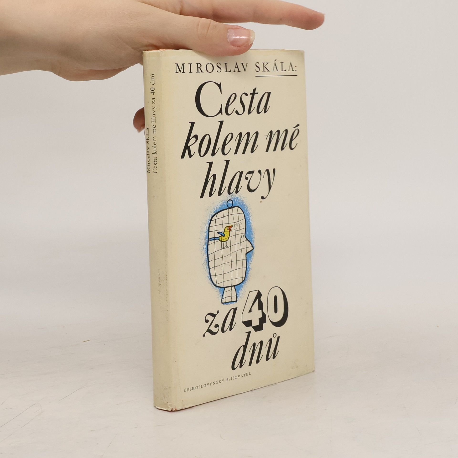 Miroslav Skála Cesta kolem mé hlavy za 40 dnů