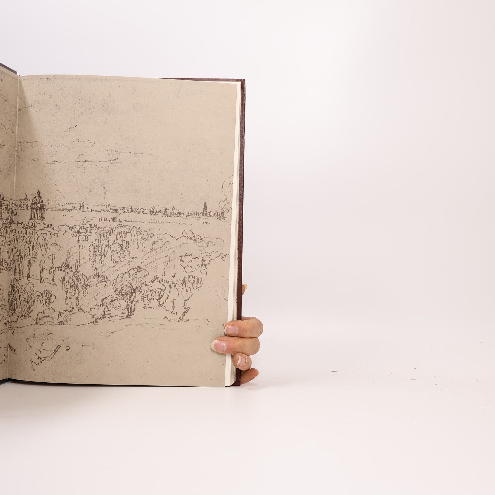 Diana Hirsch The World of Turner