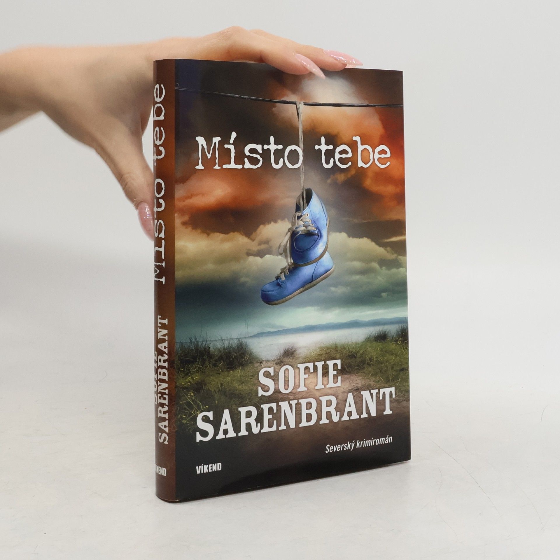 Sofie Sarenbrant Místo tebe