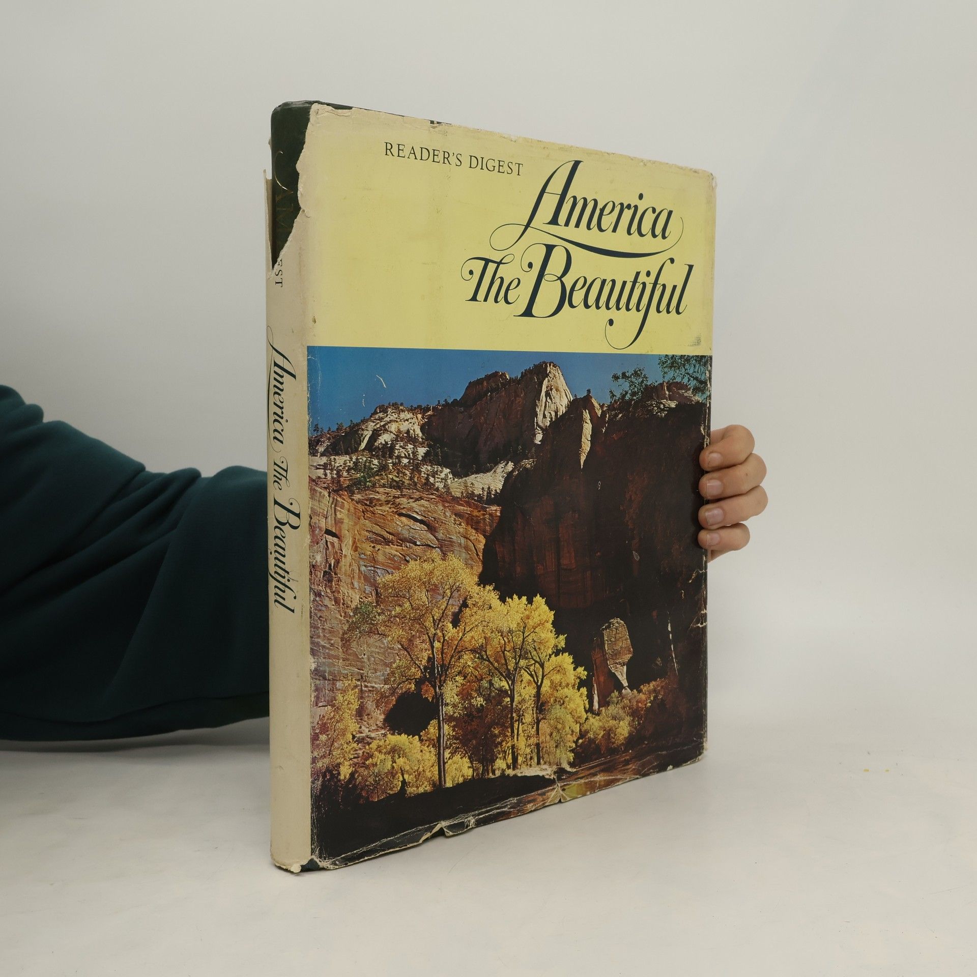 AA.VV. America The Beautiful