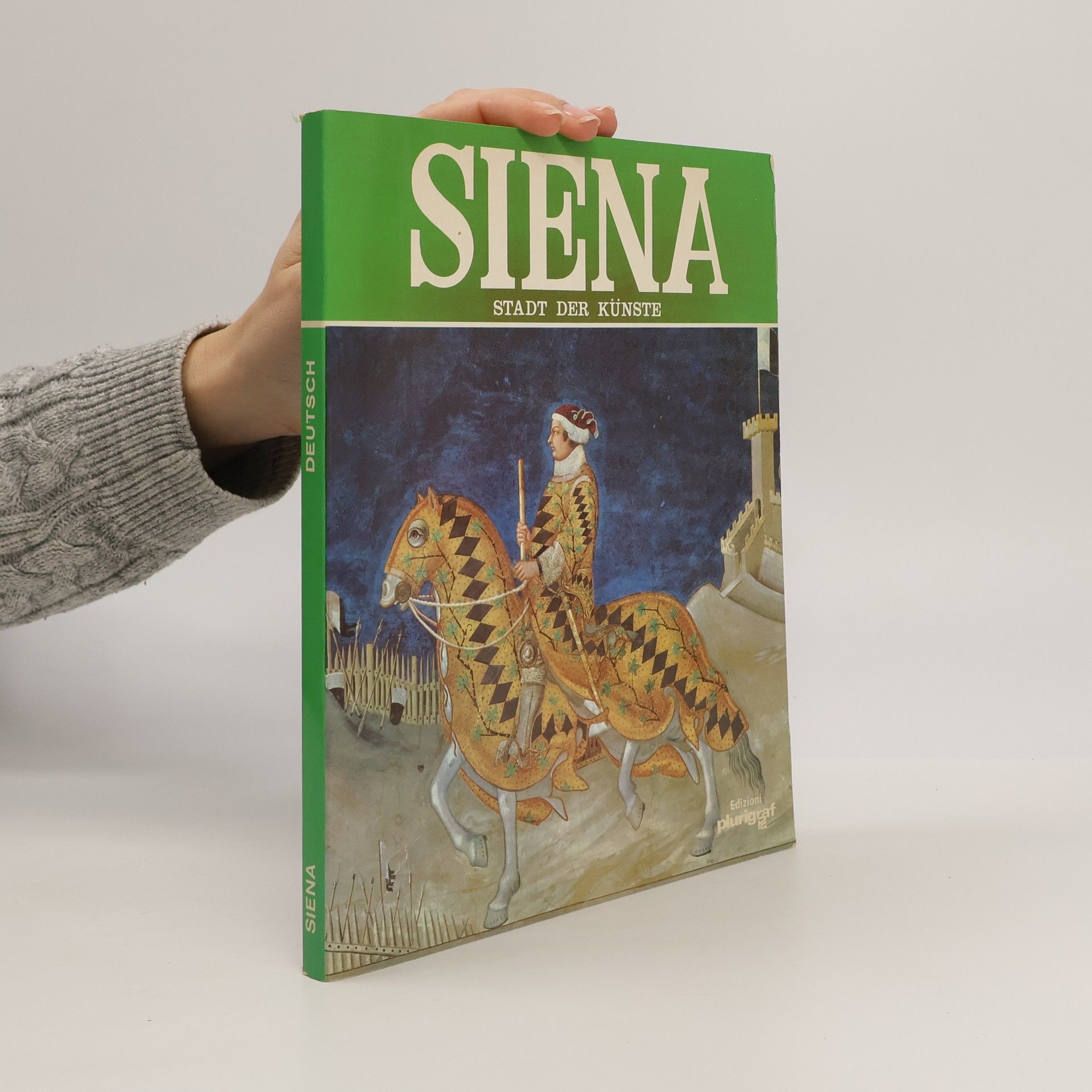 Kolektiv autorů Siena. Stadt der Künste