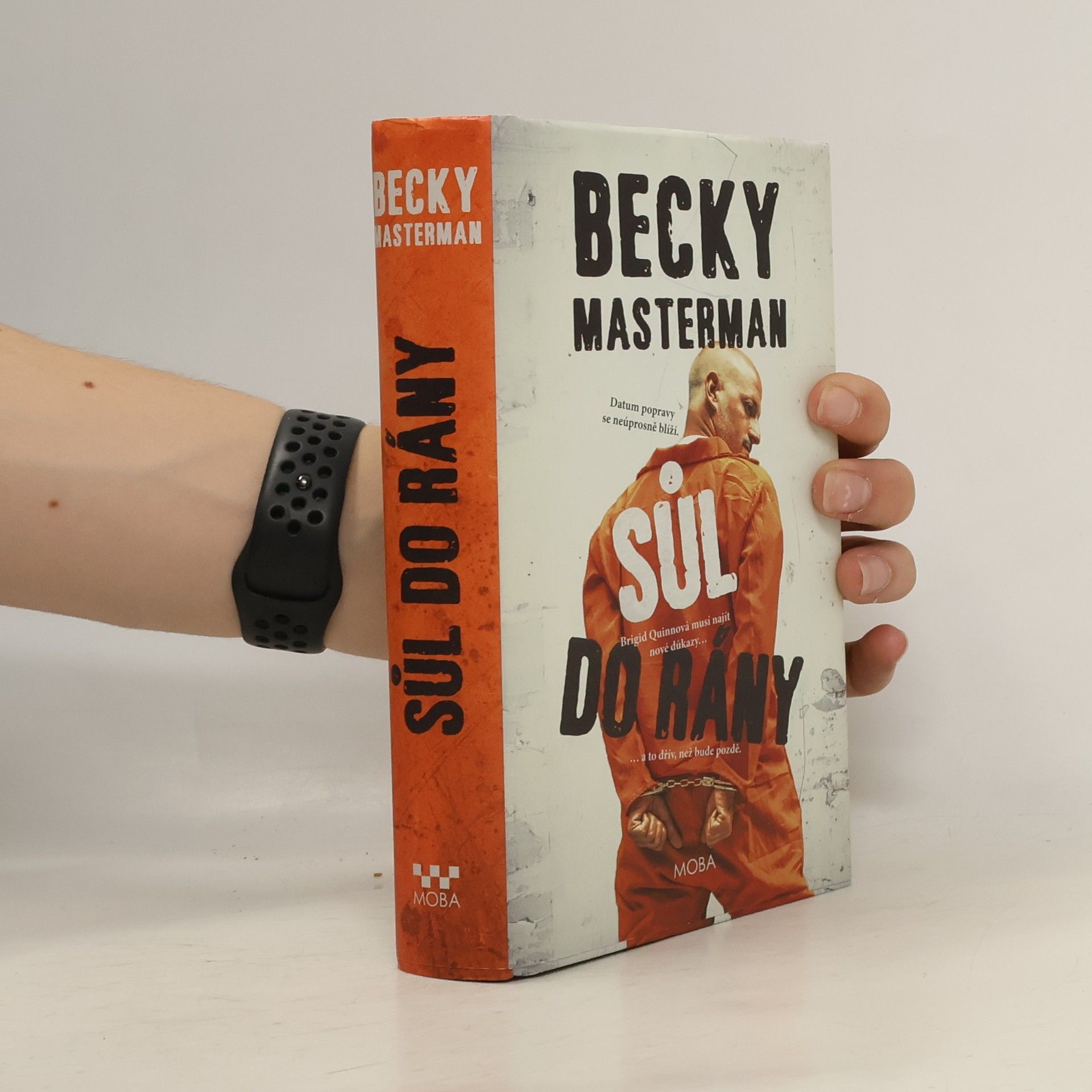 Becky Masterman Sůl do rány